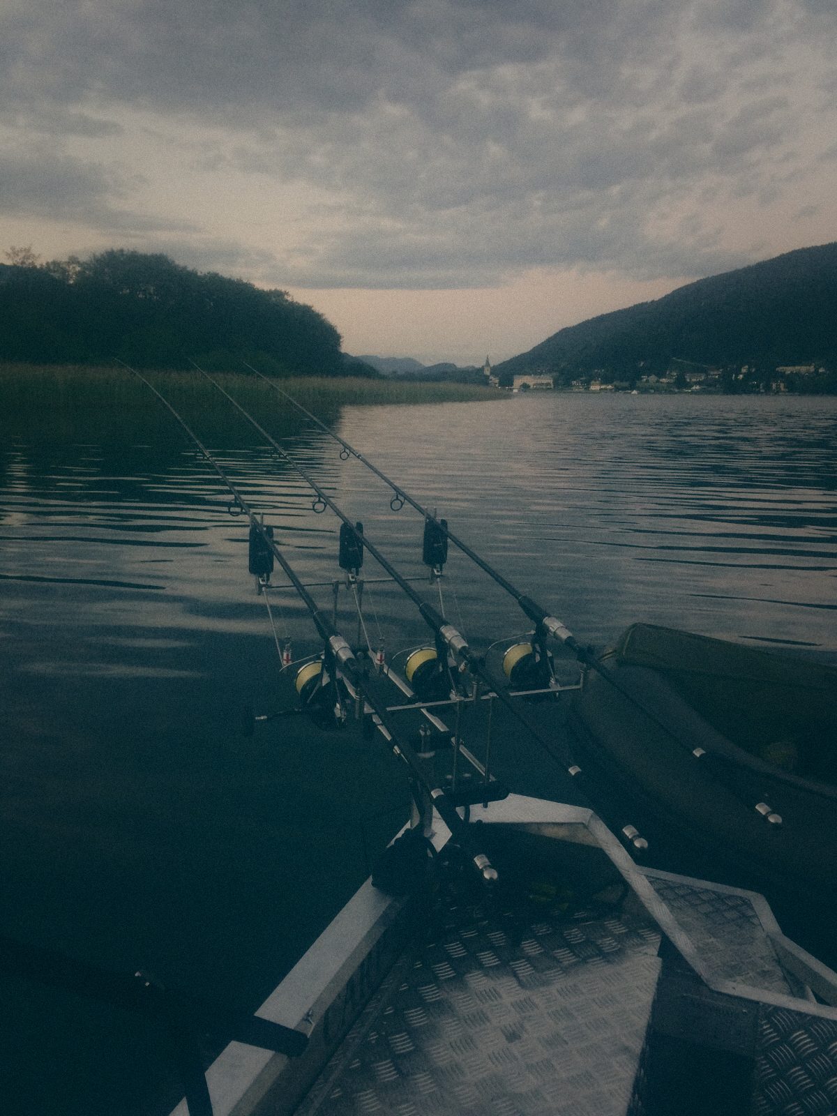 Styria Carp