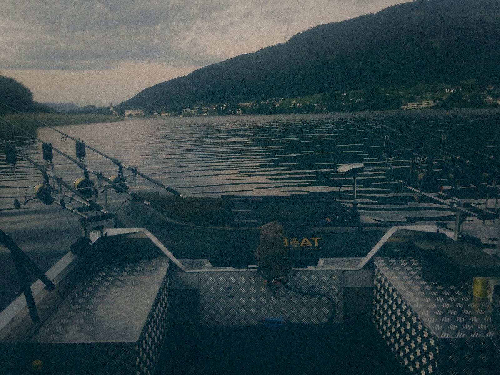 Styria Carp