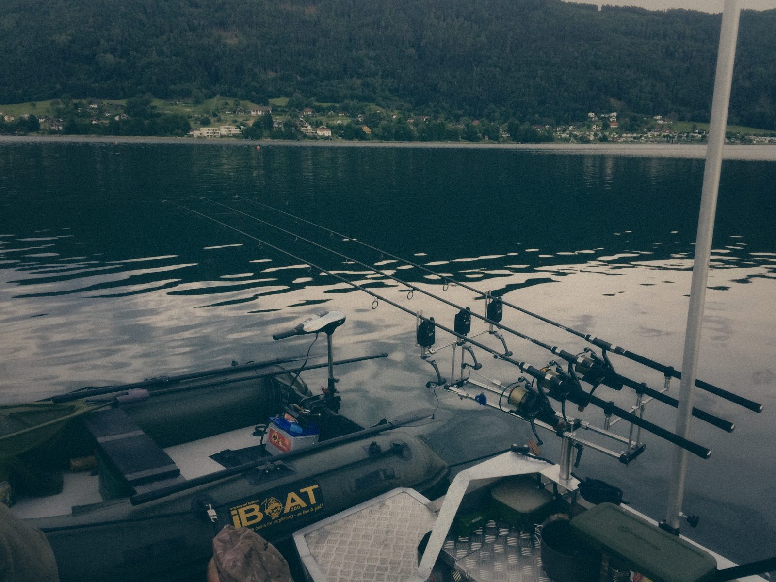 Styria Carp