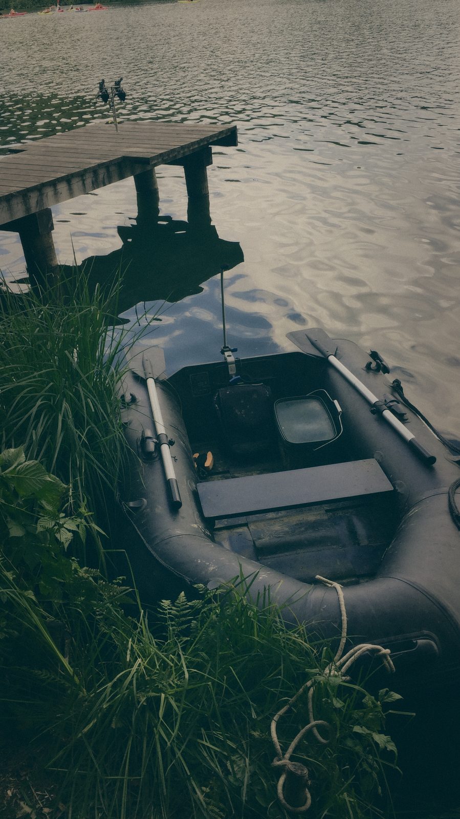 Styria Carp