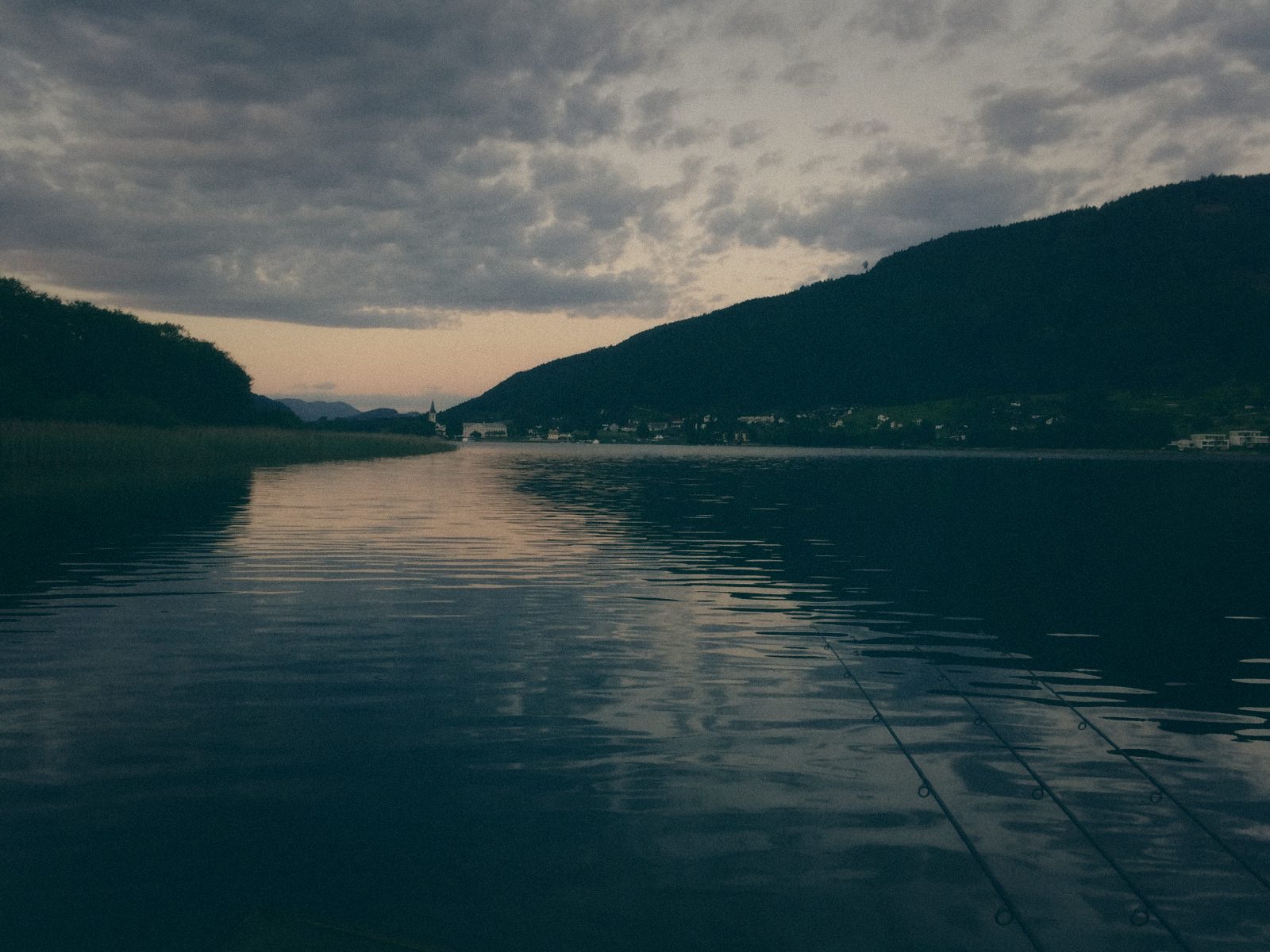 Styria Carp
