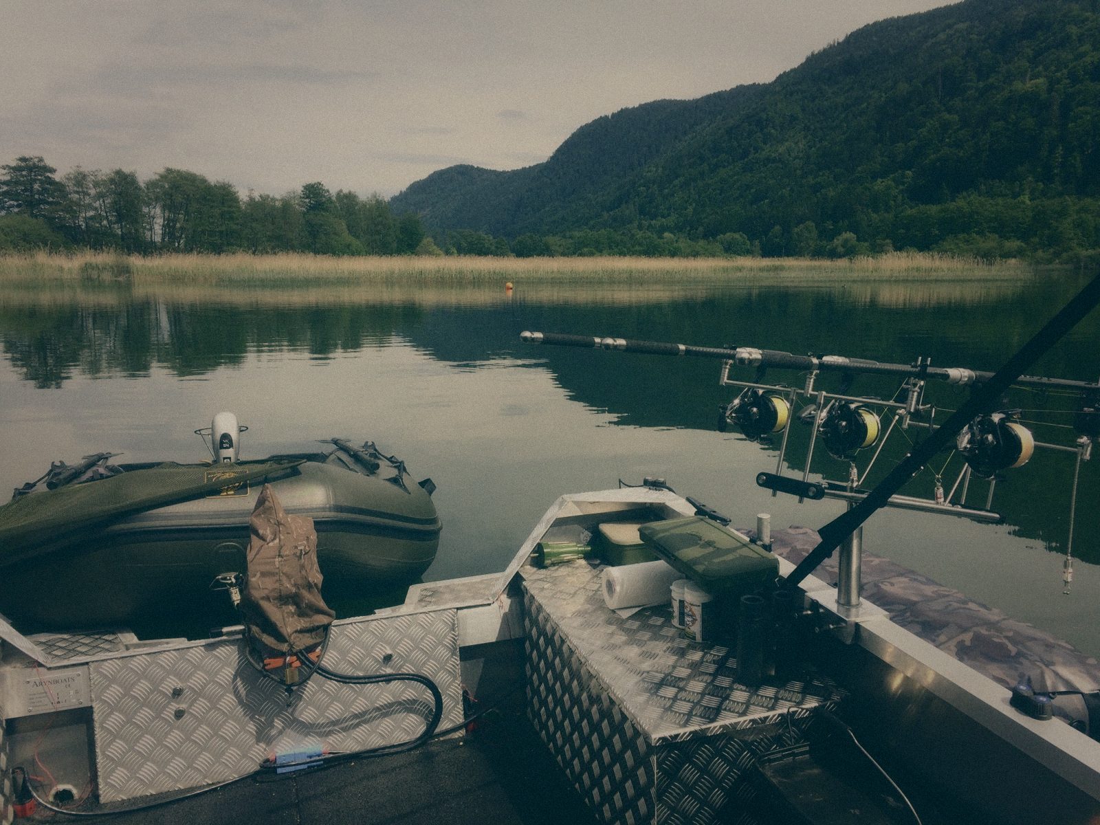 Styria Carp