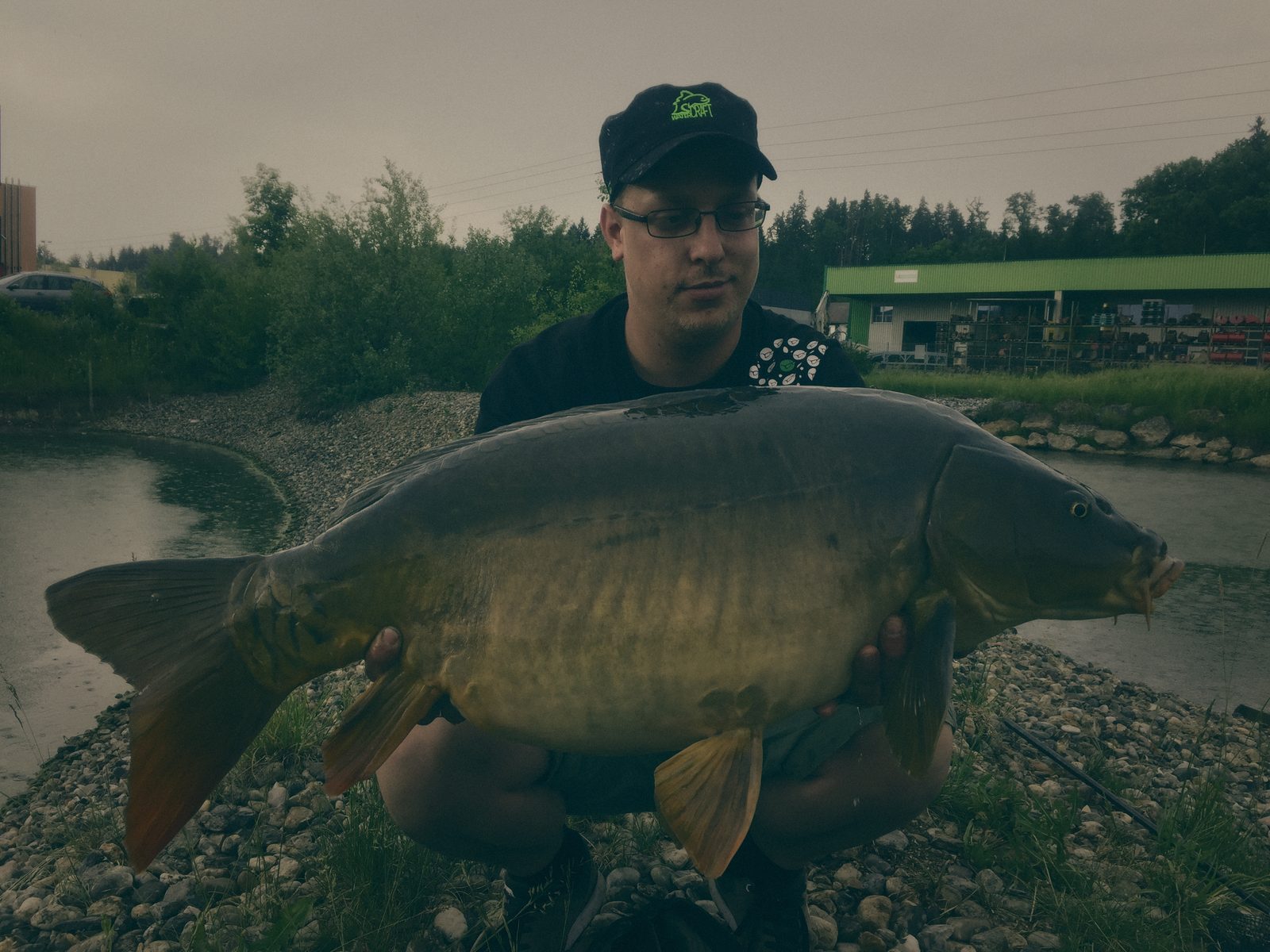 Styria Carp