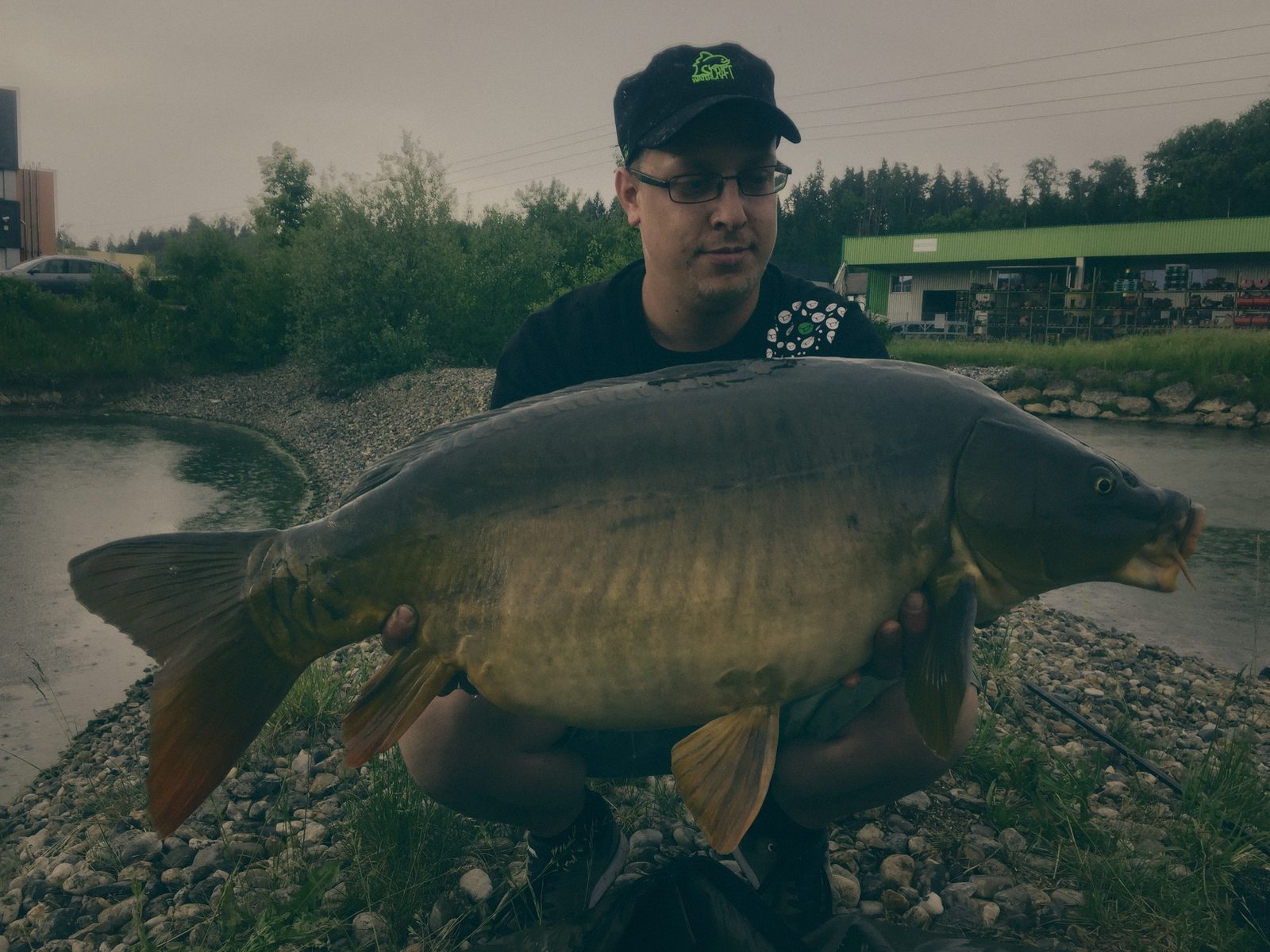 Styria Carp