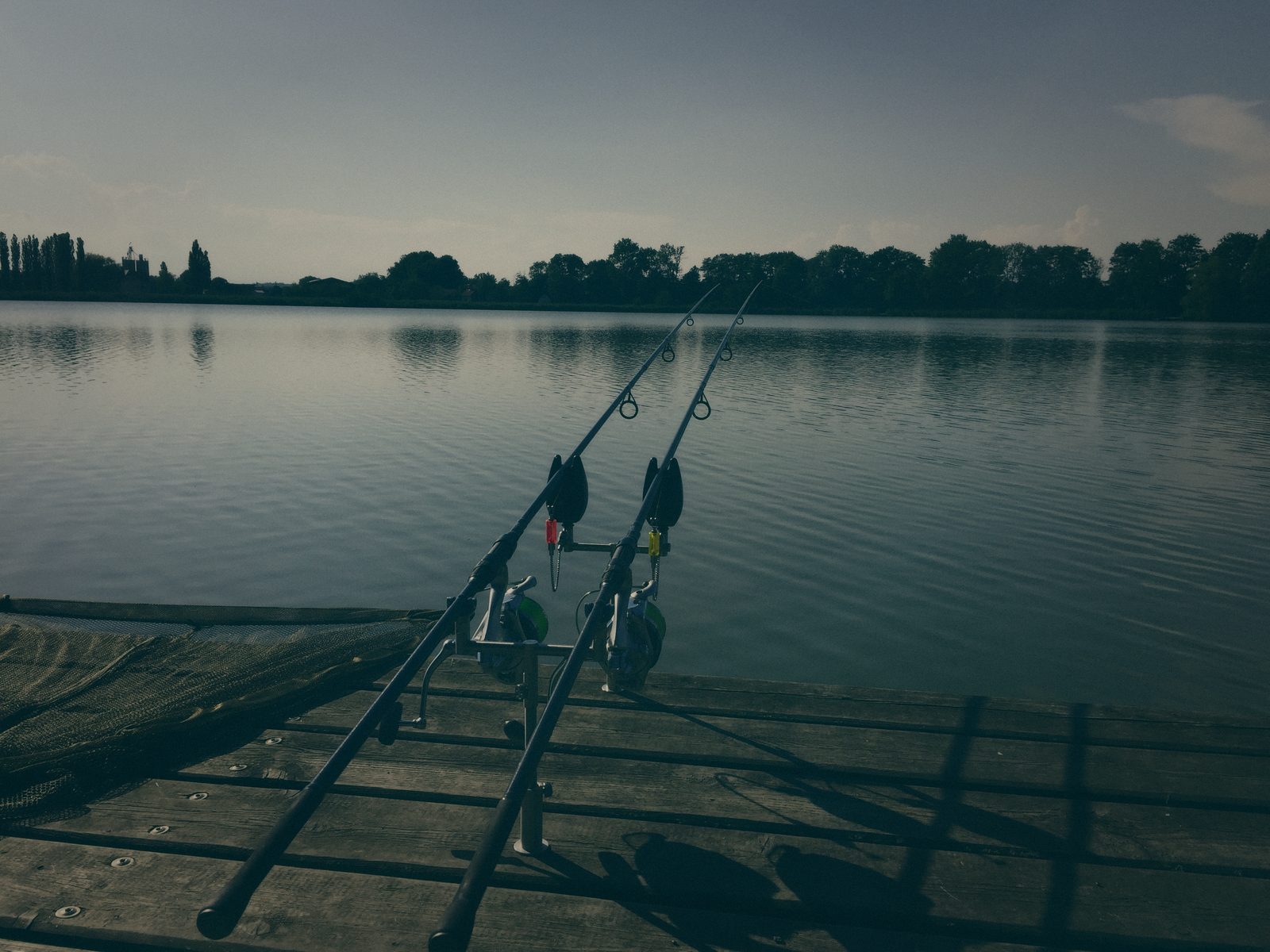 Styria Carp
