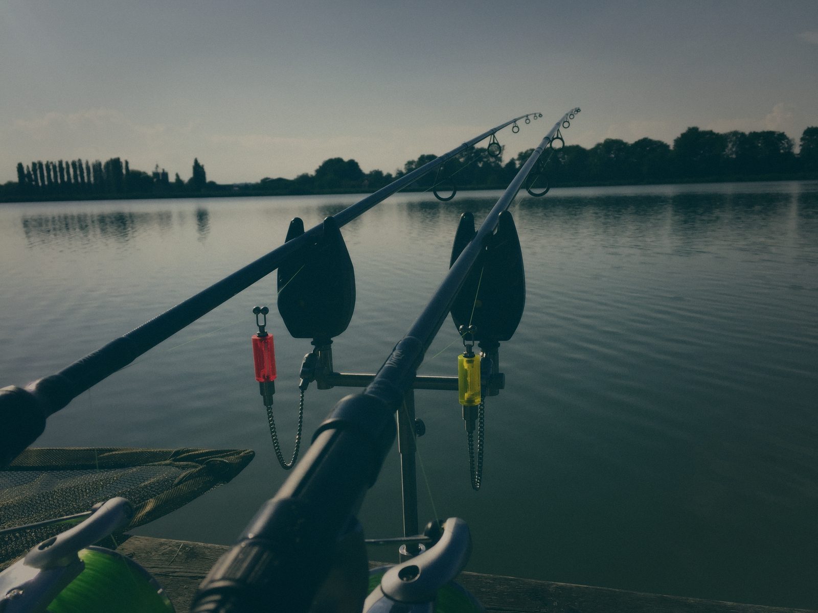 Styria Carp