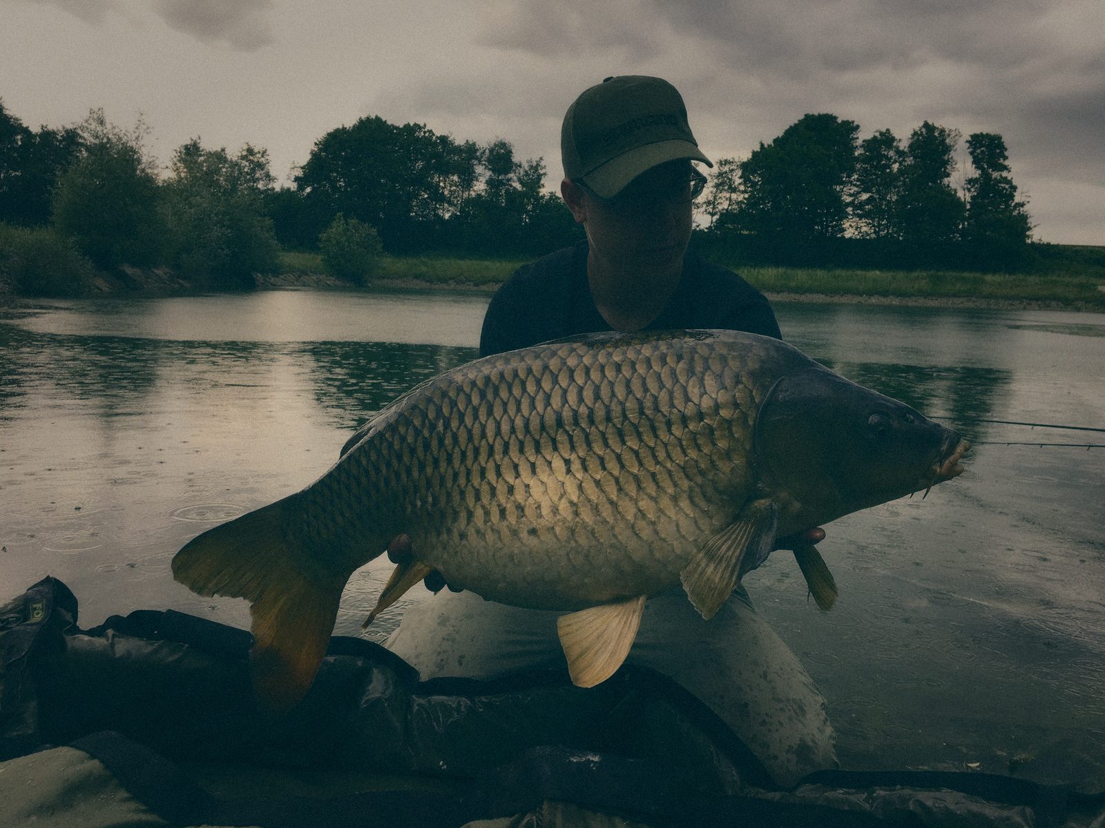 Styria Carp