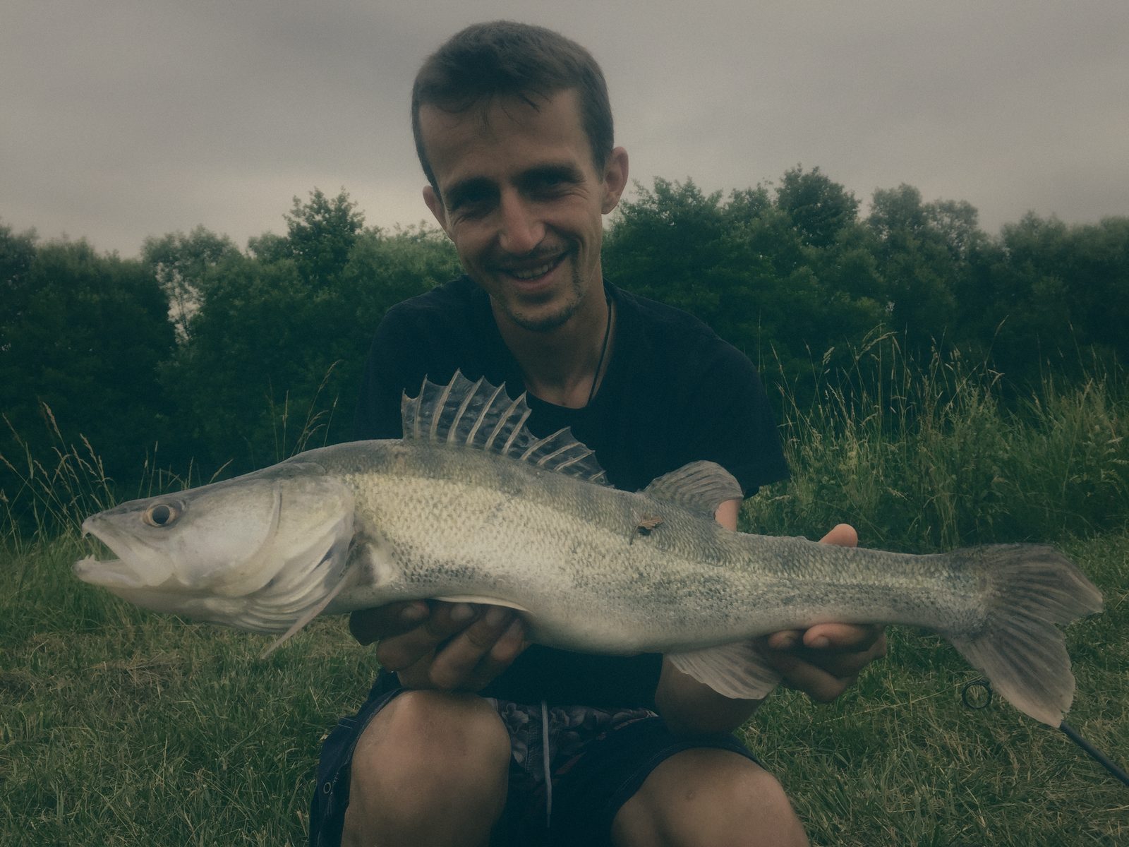 Styria Carp
