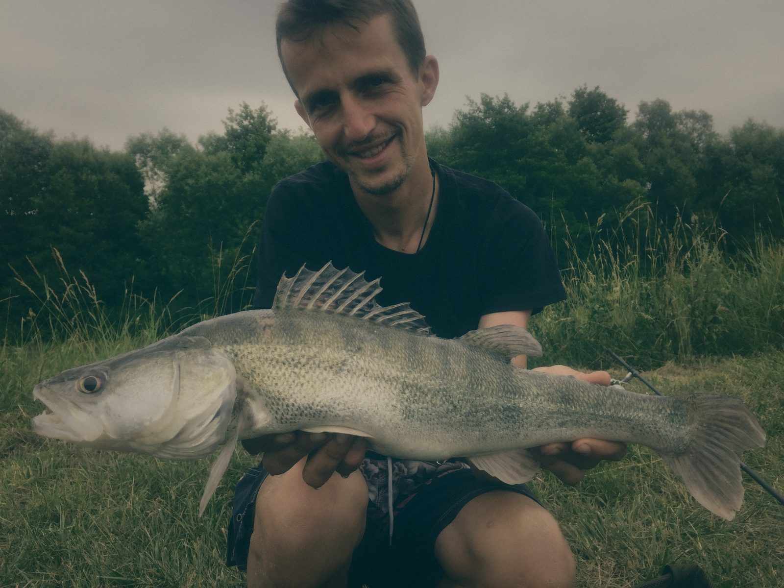 Styria Carp
