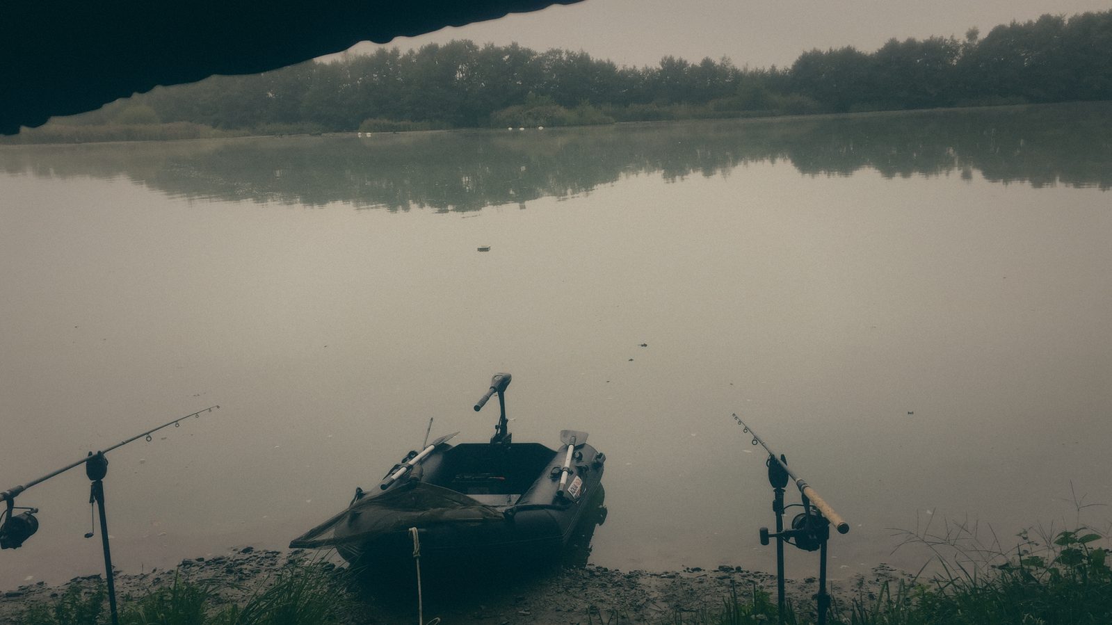 Styria Carp