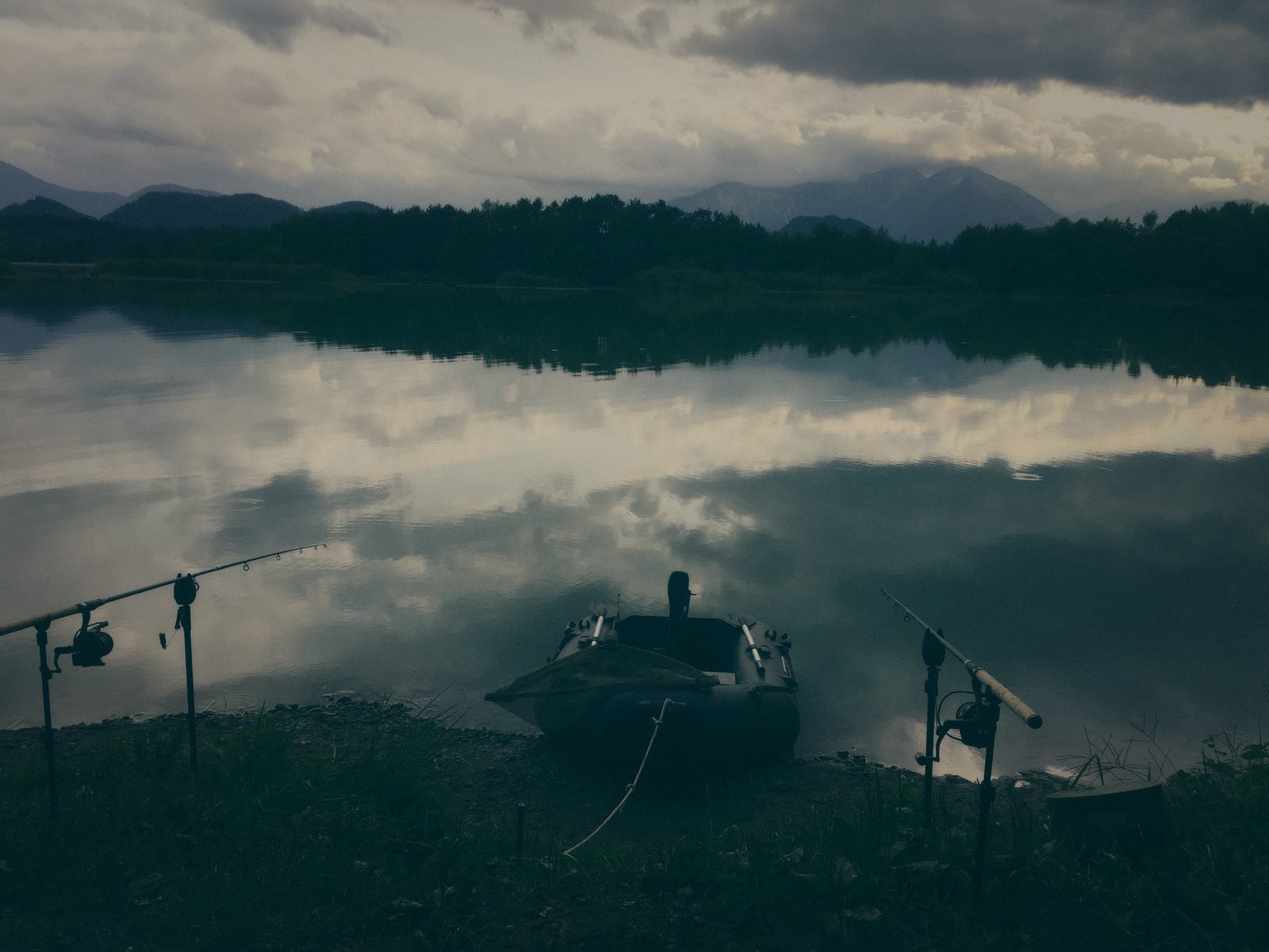 Styria Carp