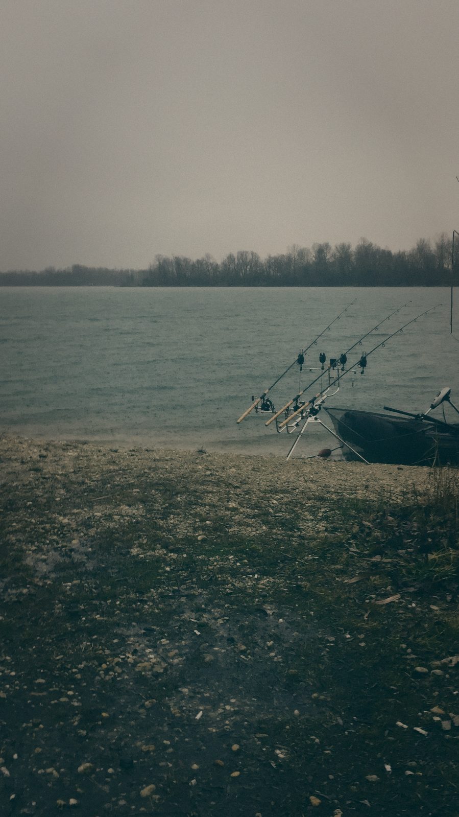 Styria Carp