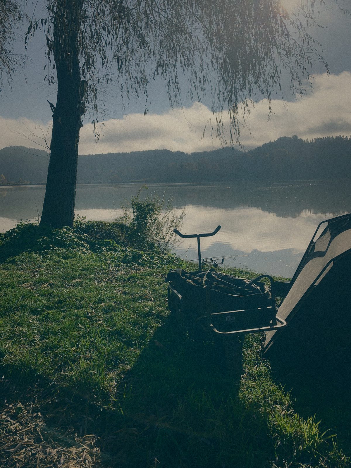 Styria Carp