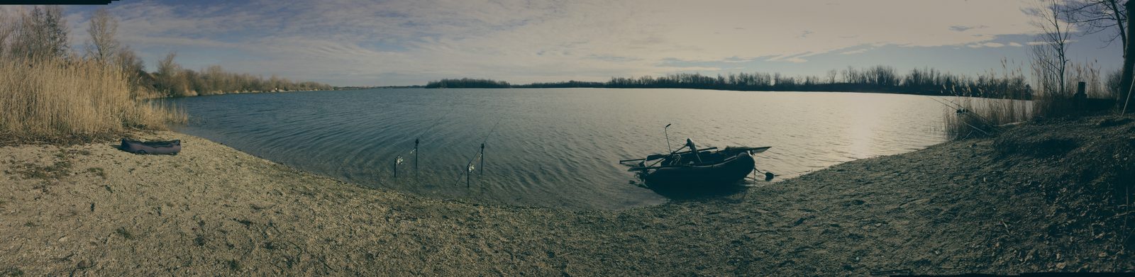 Styria Carp