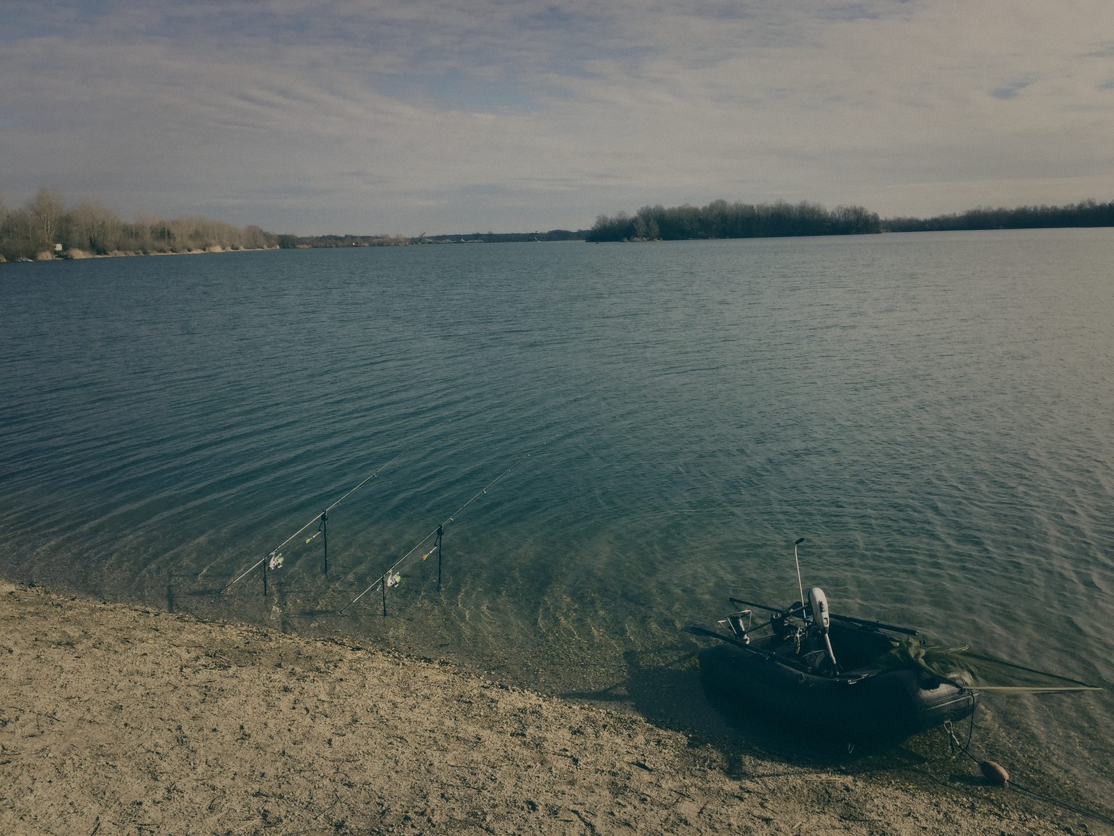 Styria Carp