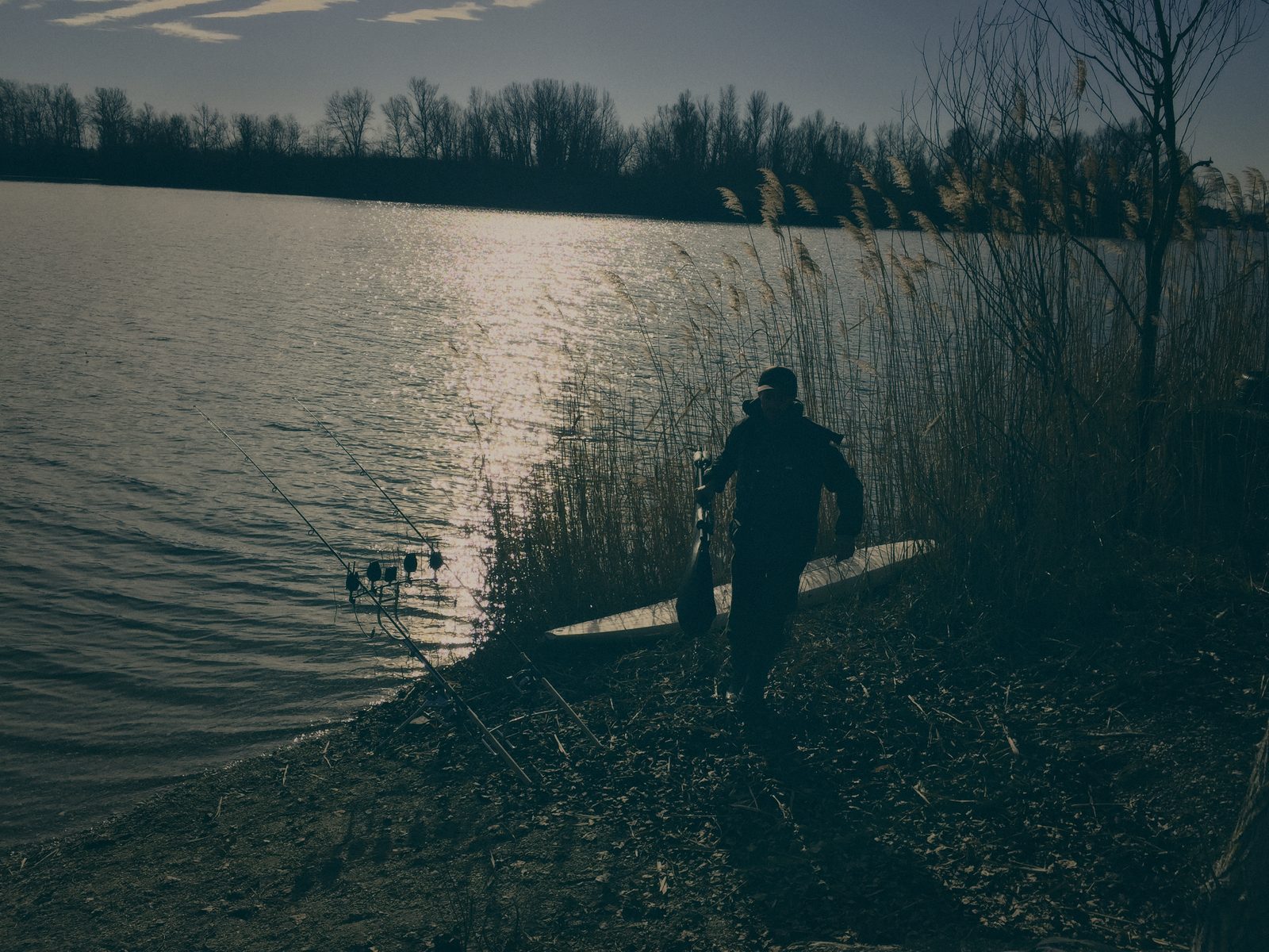 Styria Carp