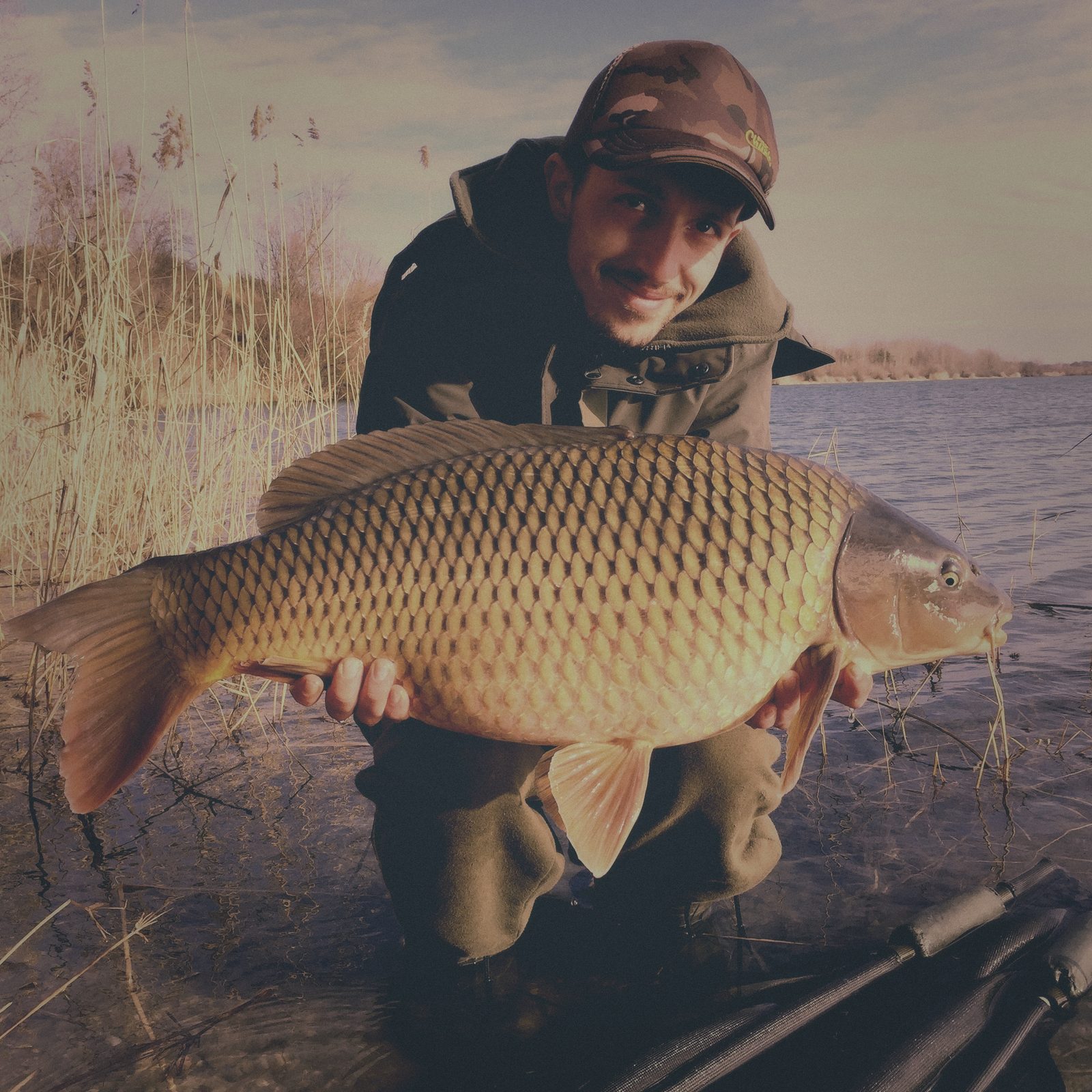 Styria Carp