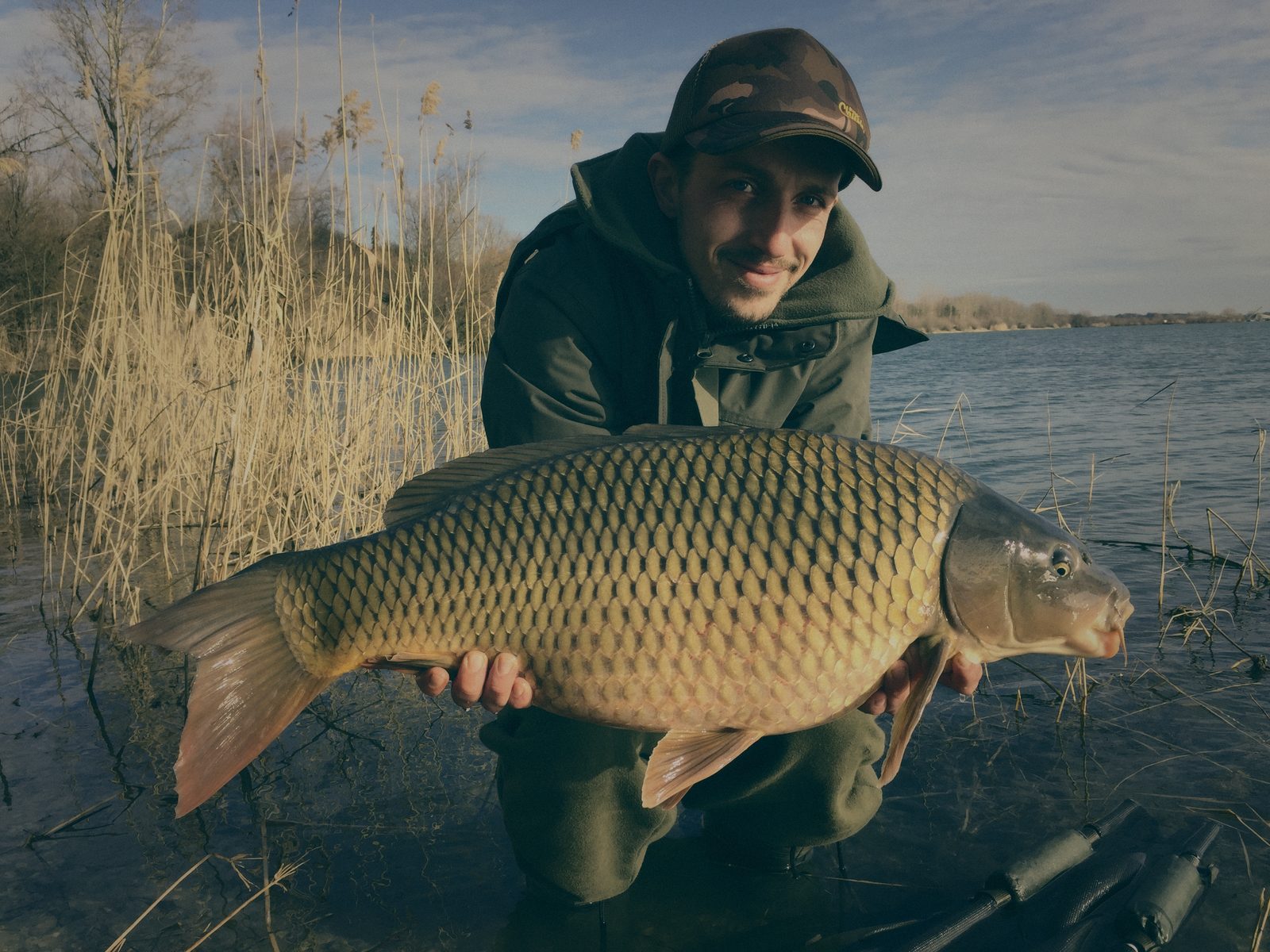 Styria Carp