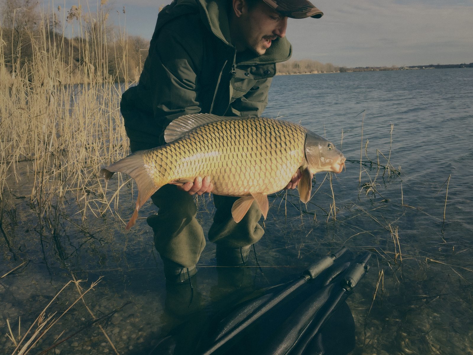 Styria Carp