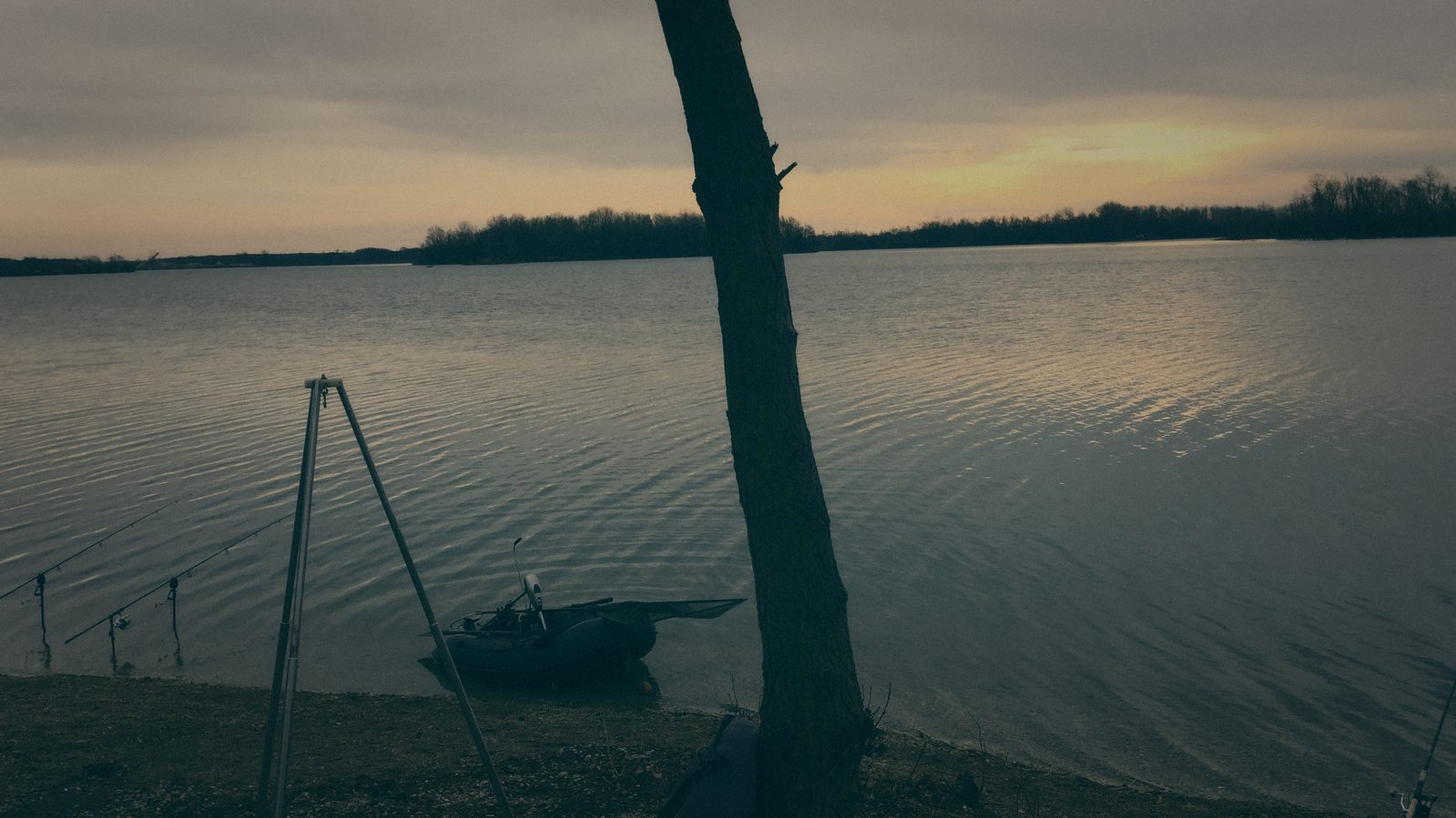 Styria Carp