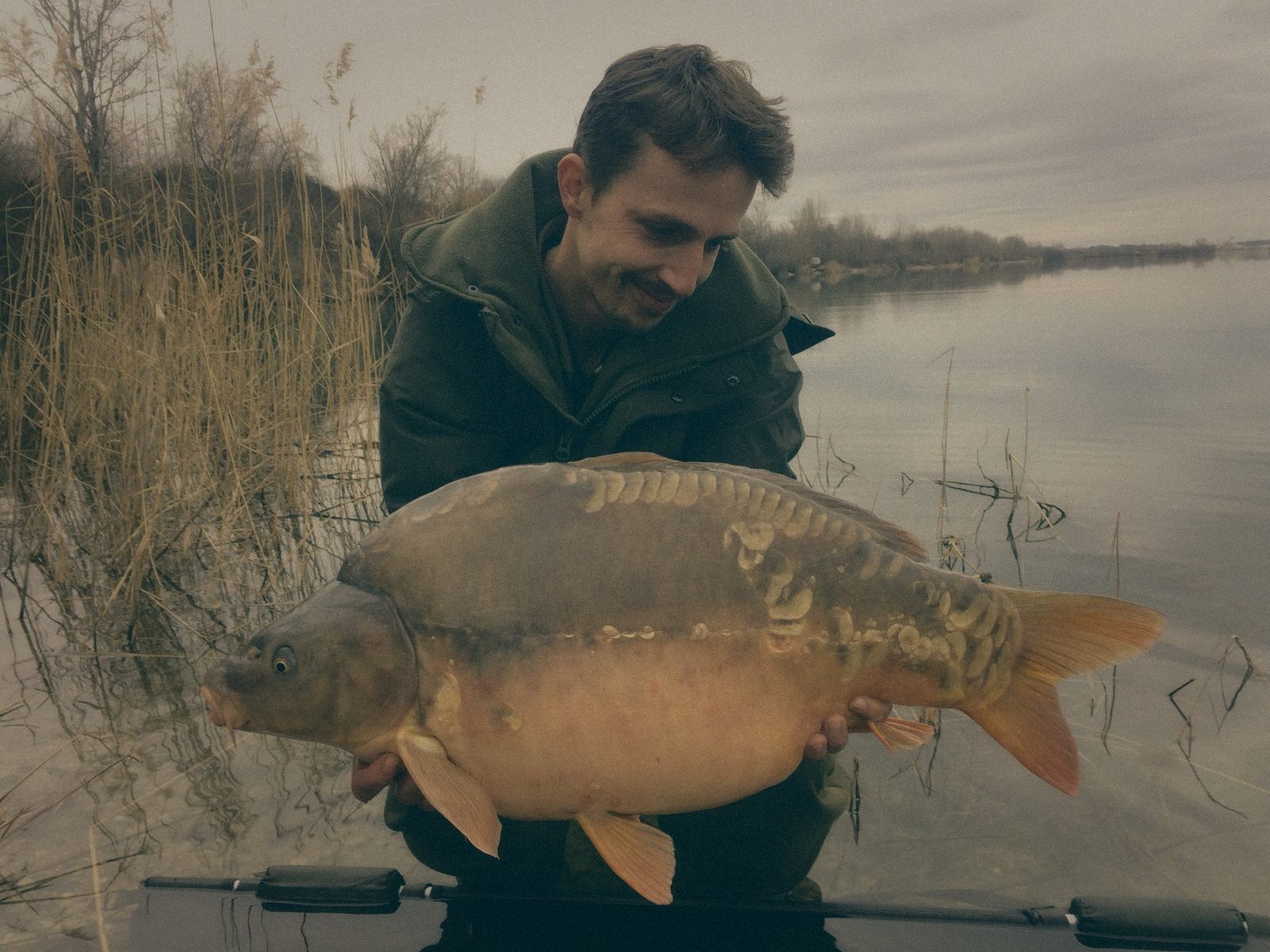 Styria Carp