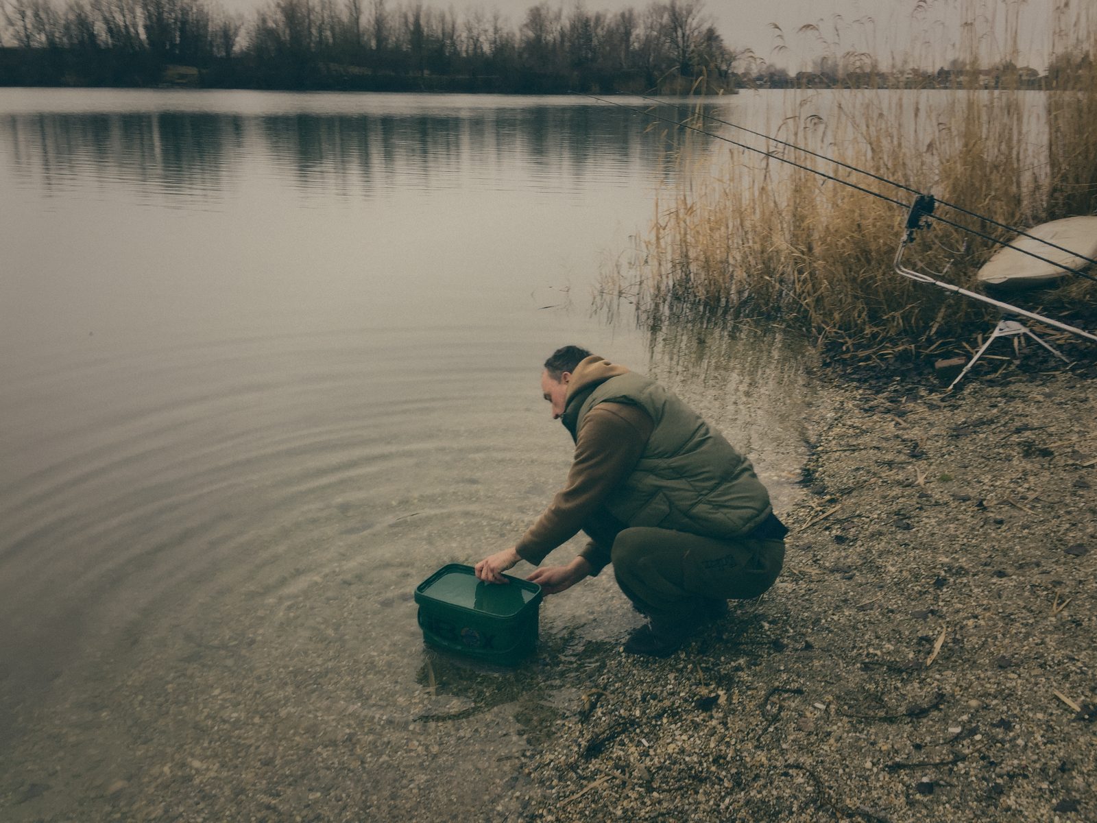 Styria Carp