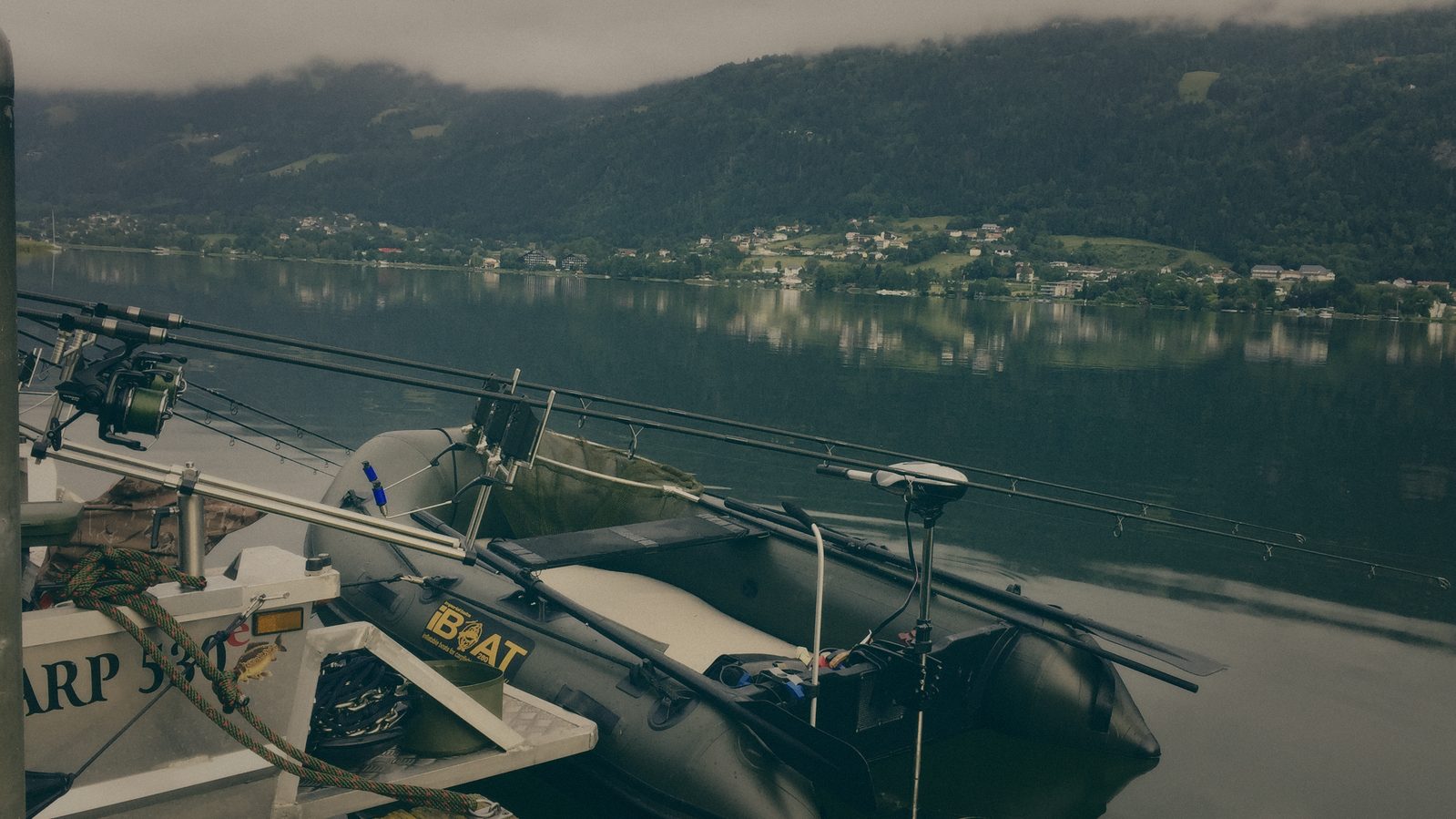 Styria Carp