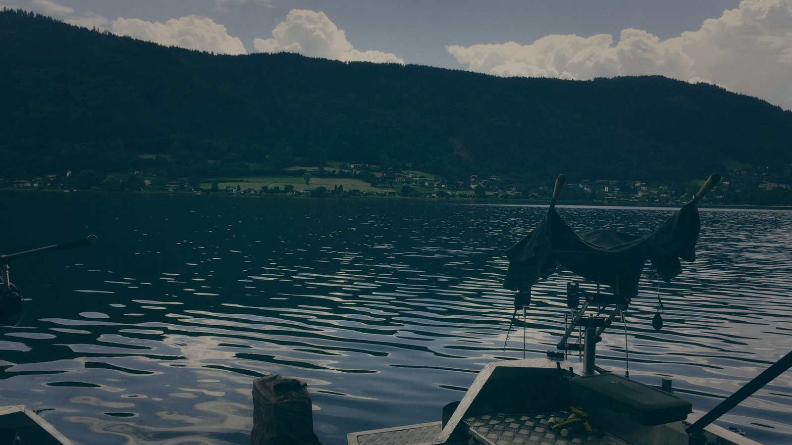 Styria Carp