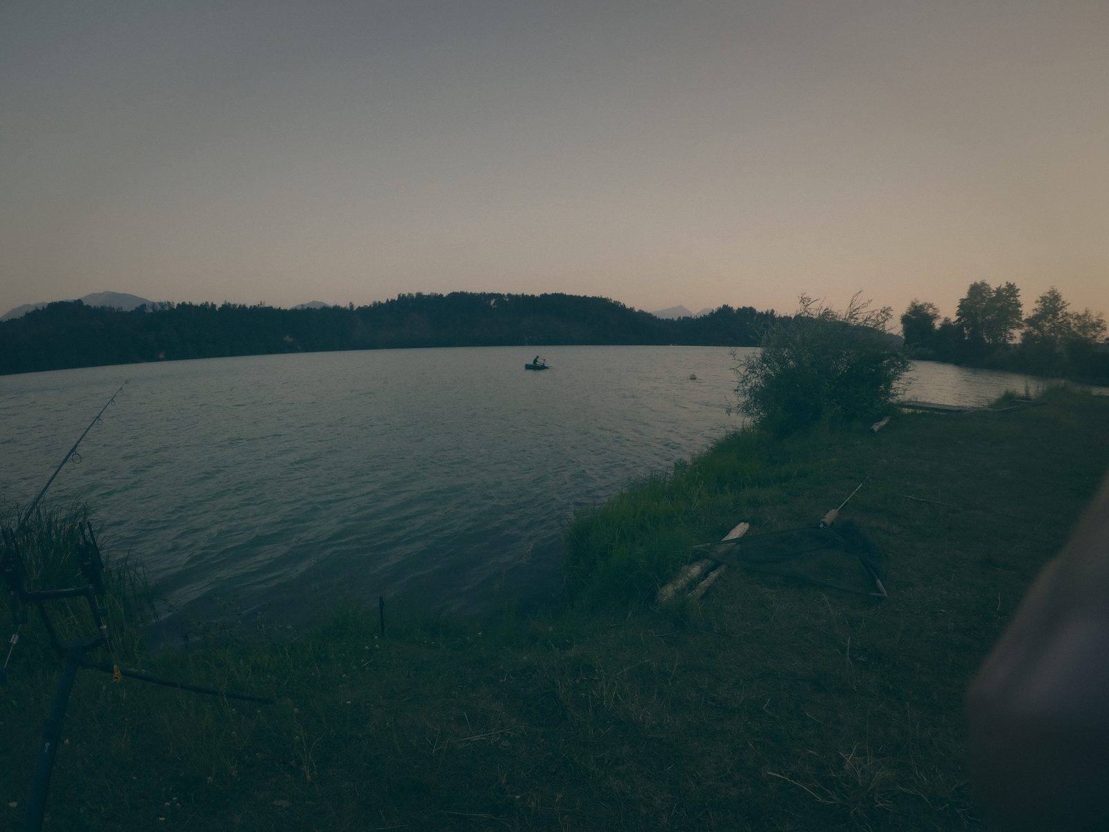 Styria Carp 2025