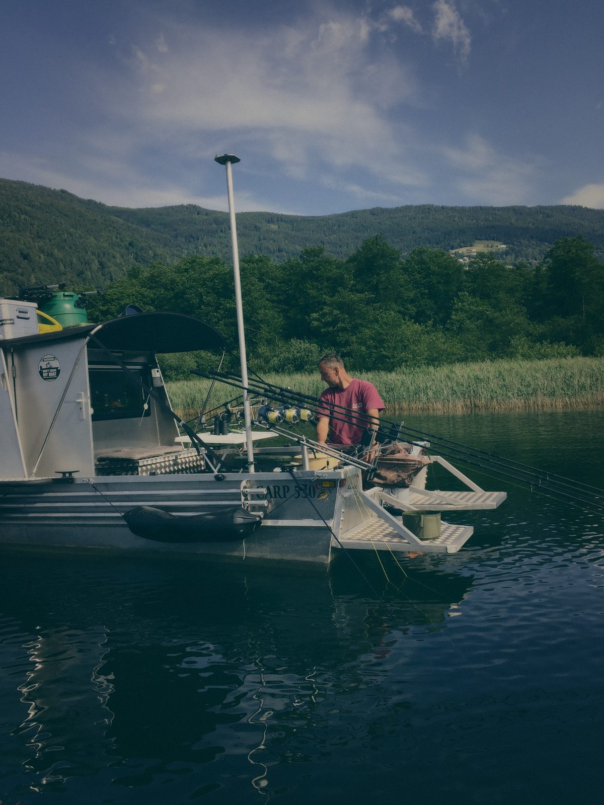 Styria Carp