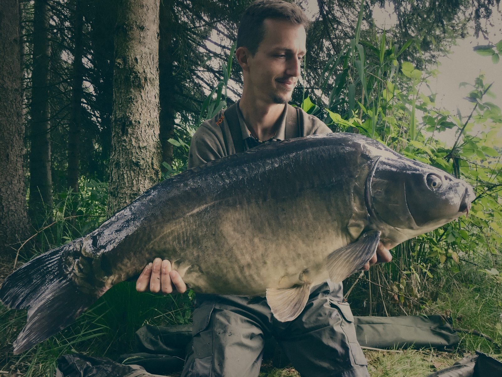 Styria Carp 2018