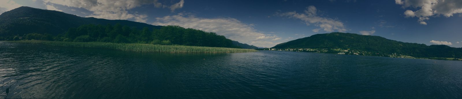 Styria Carp