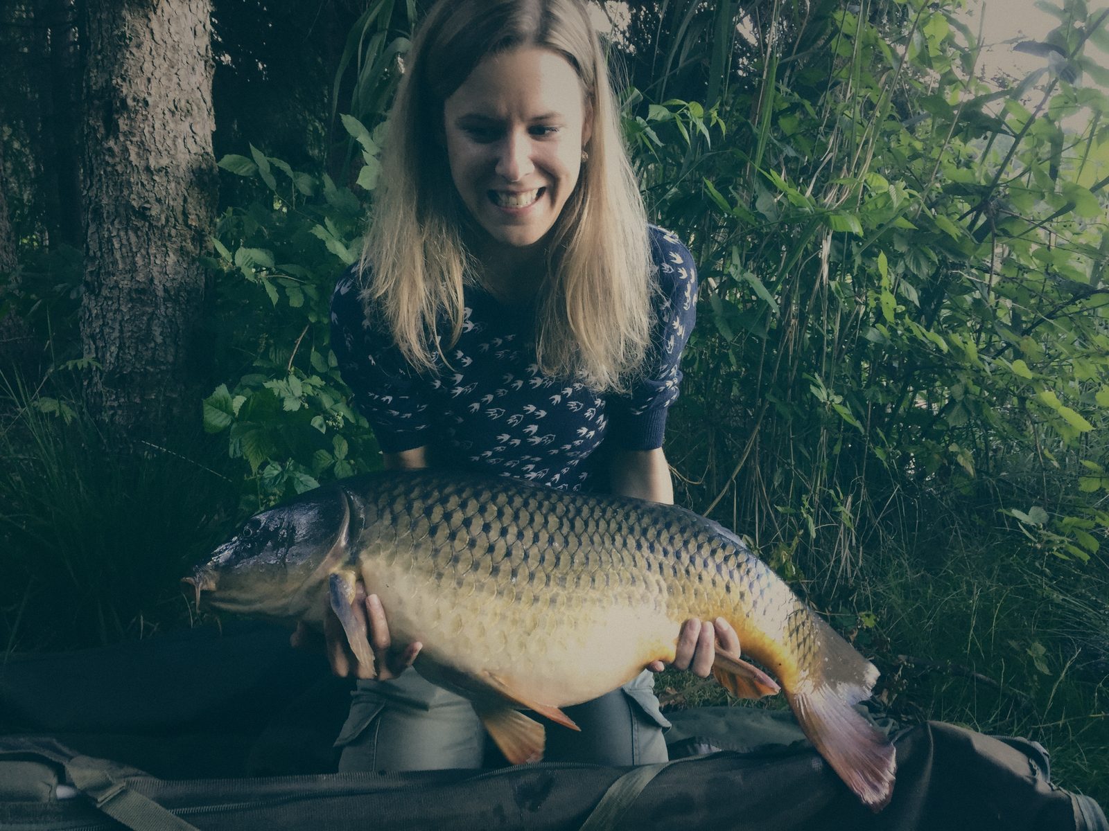 Styria Carp