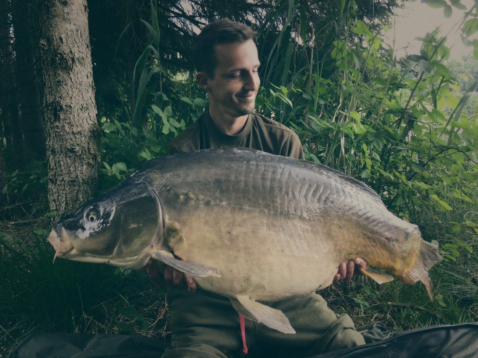 Styria Carp