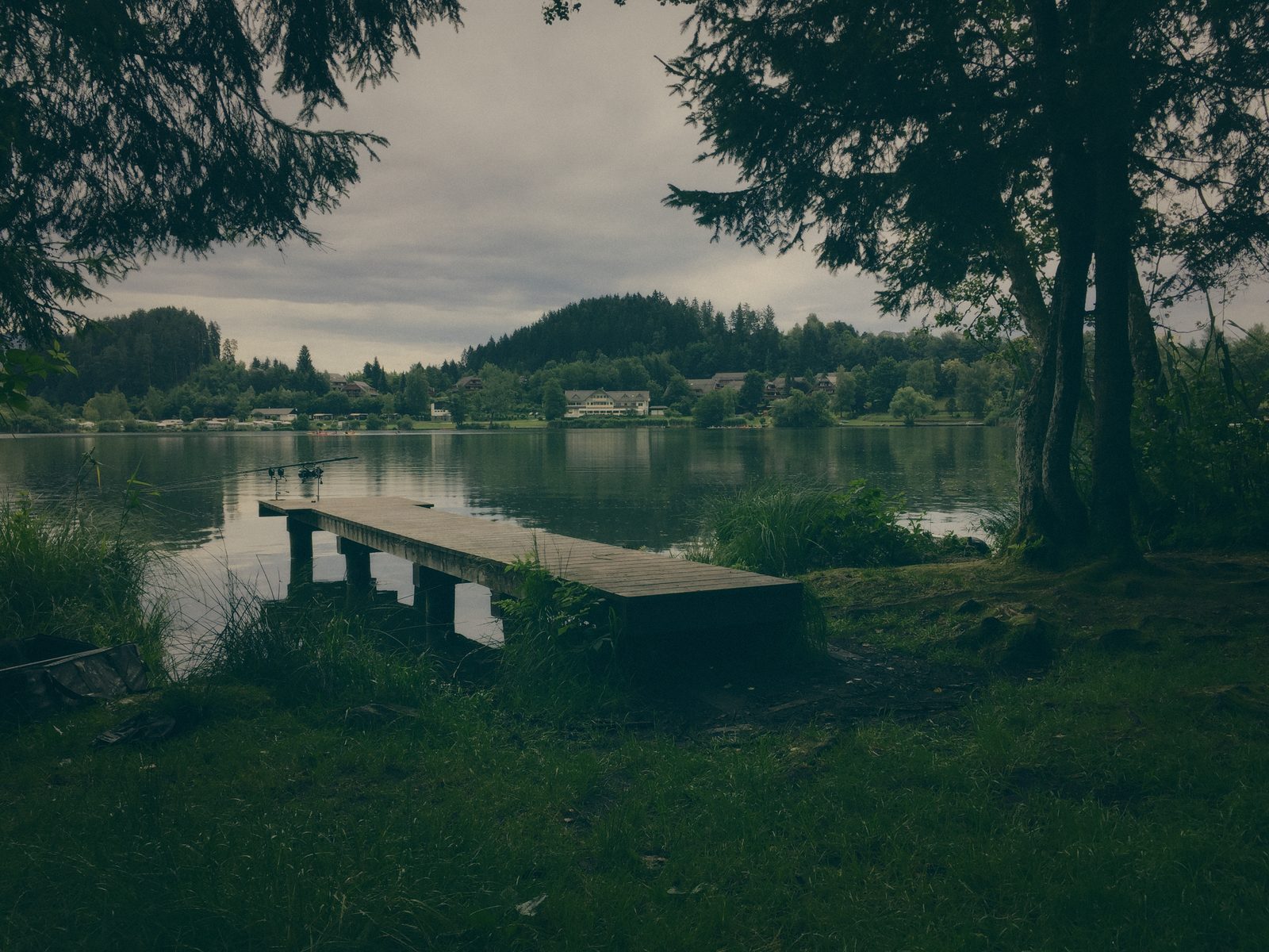 Styria Carp