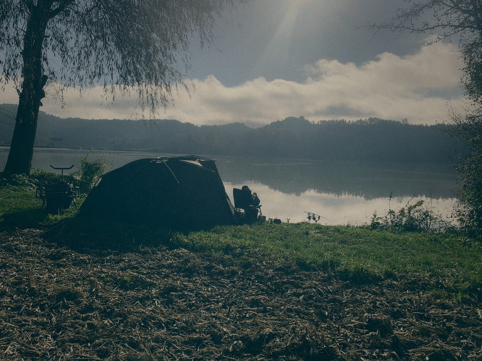 Styria Carp