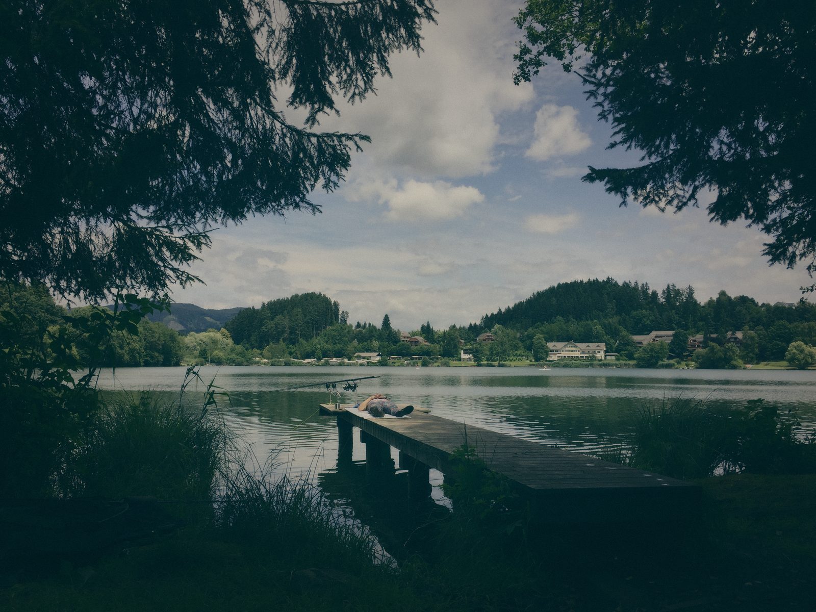 Styria Carp