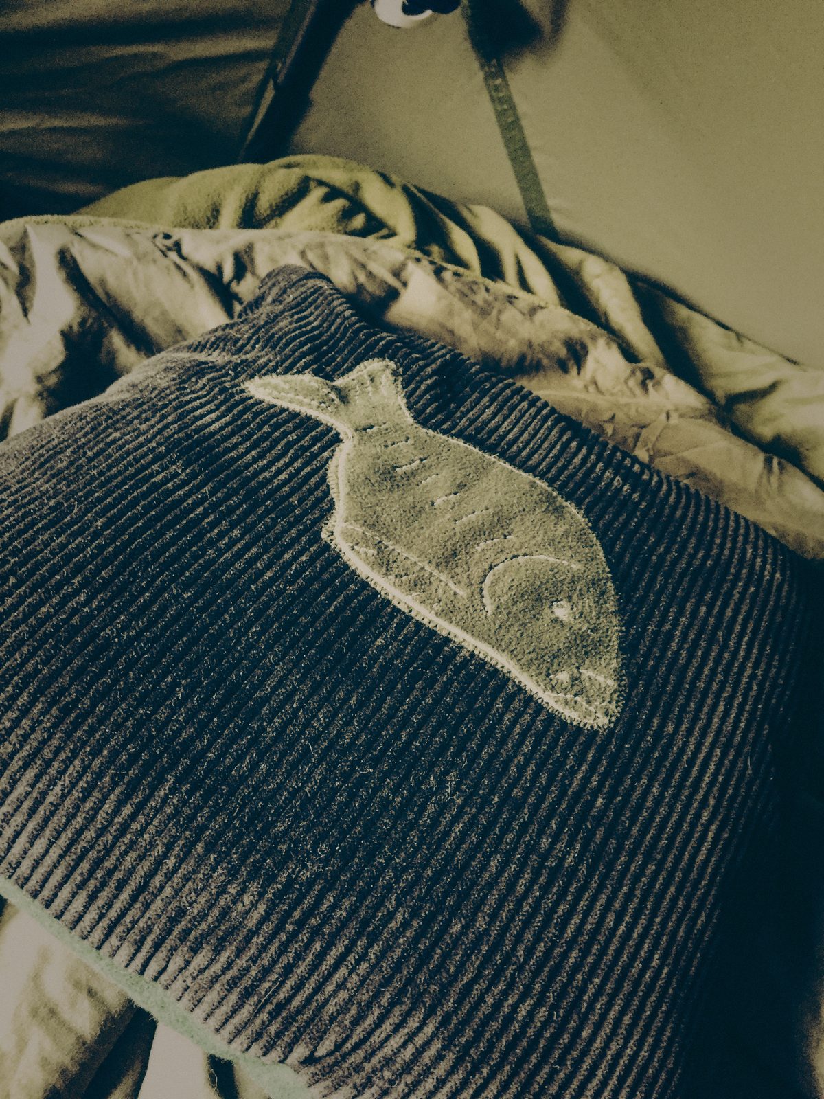 Styria Carp