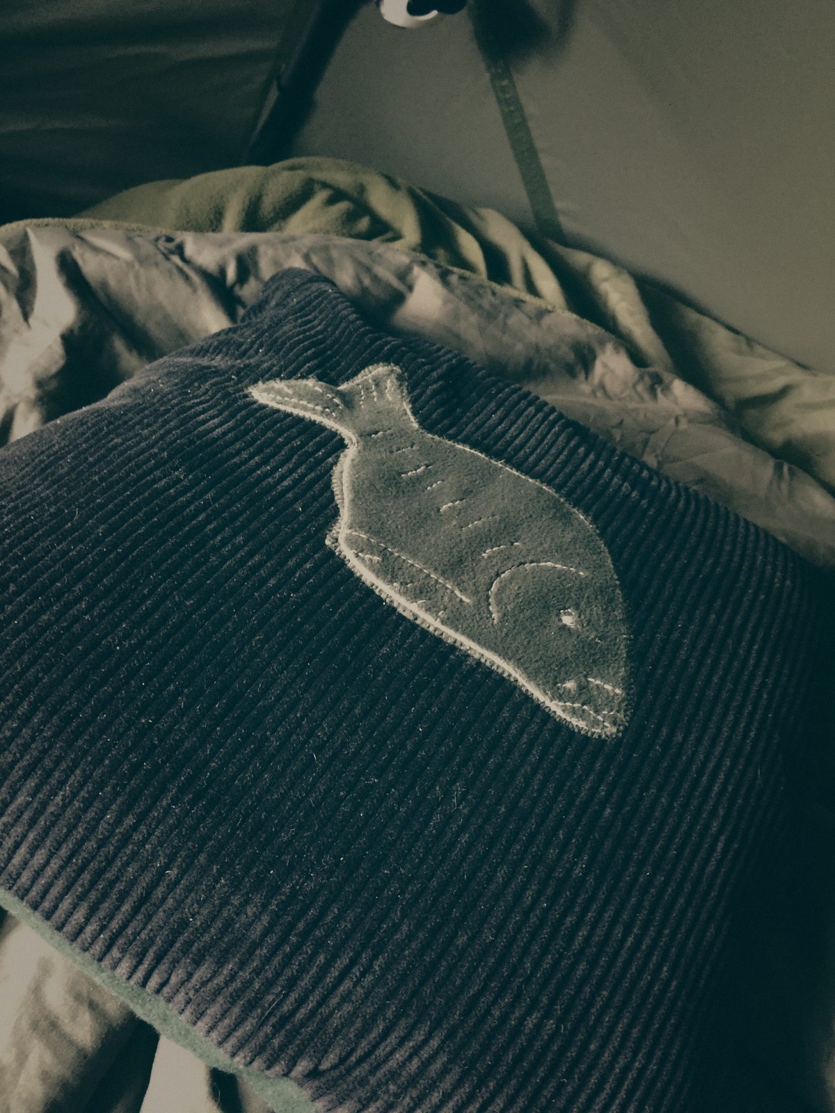 Styria Carp