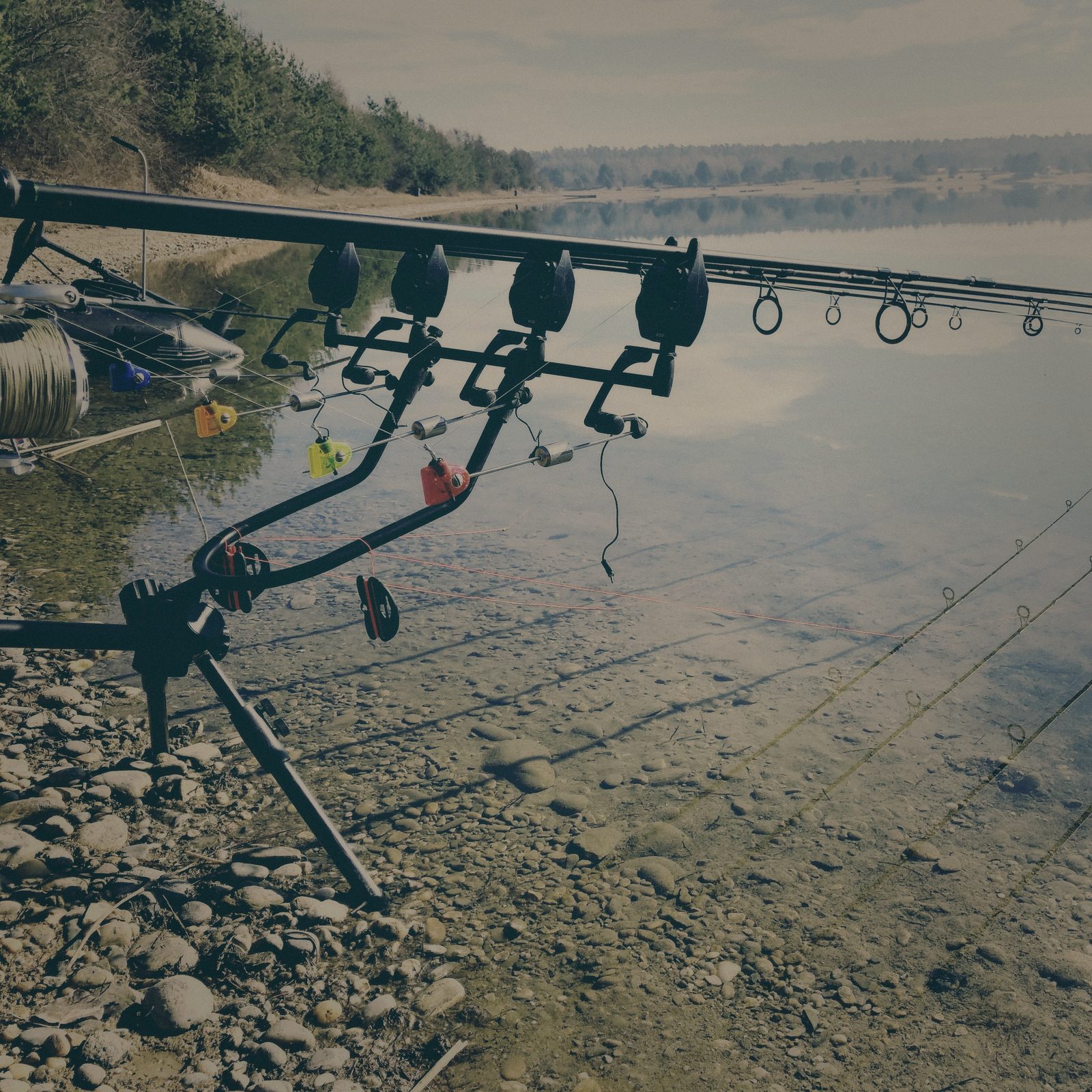 Styria Carp