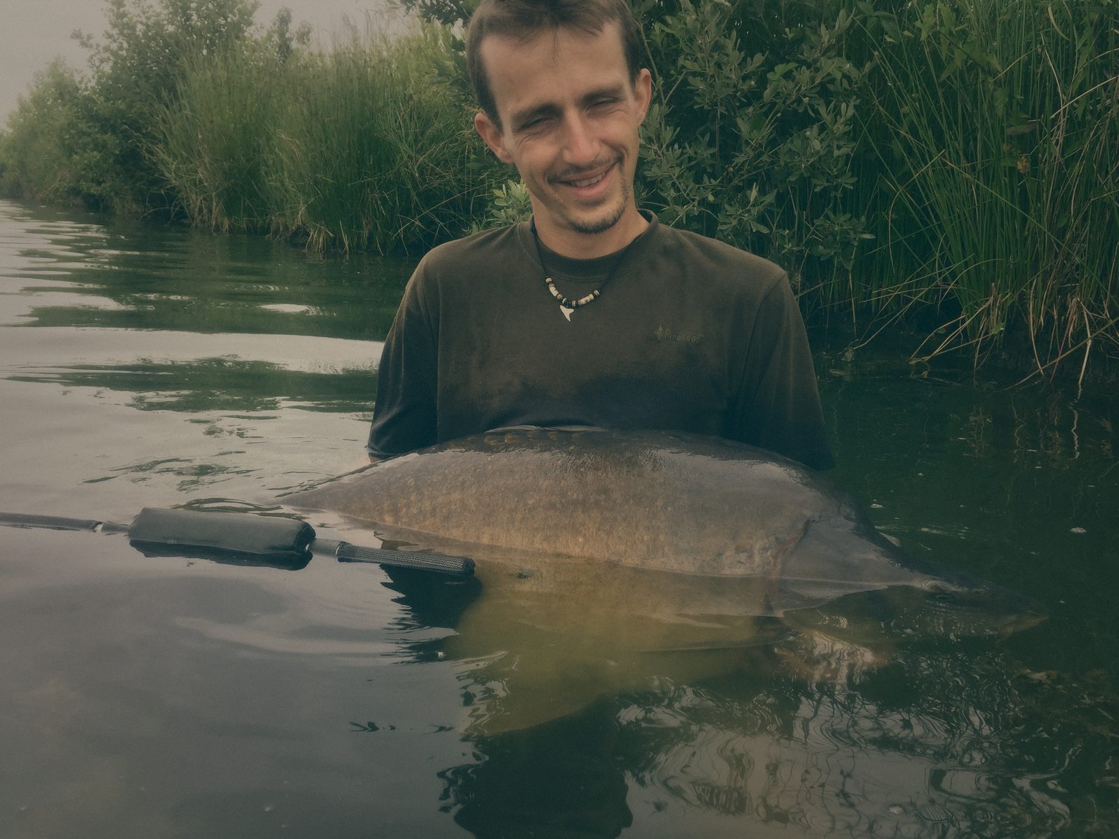 Styria Carp 2017