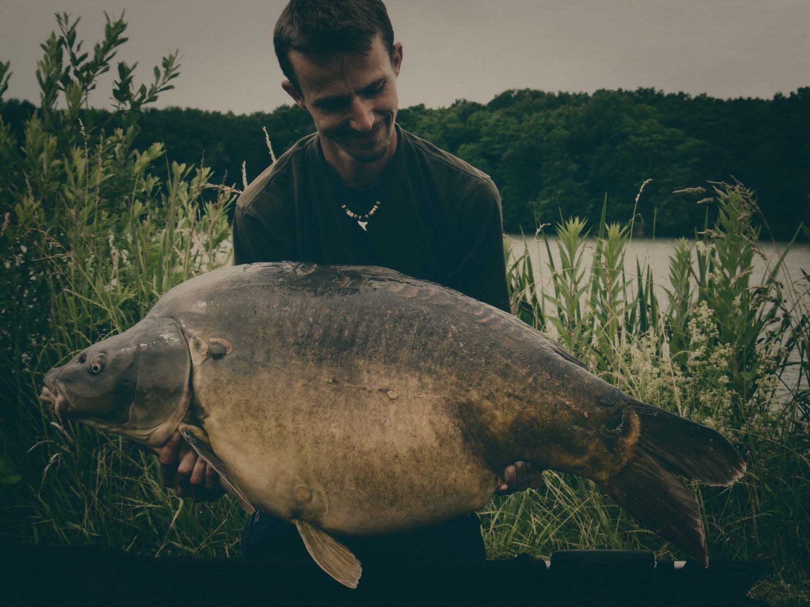 Styria Carp