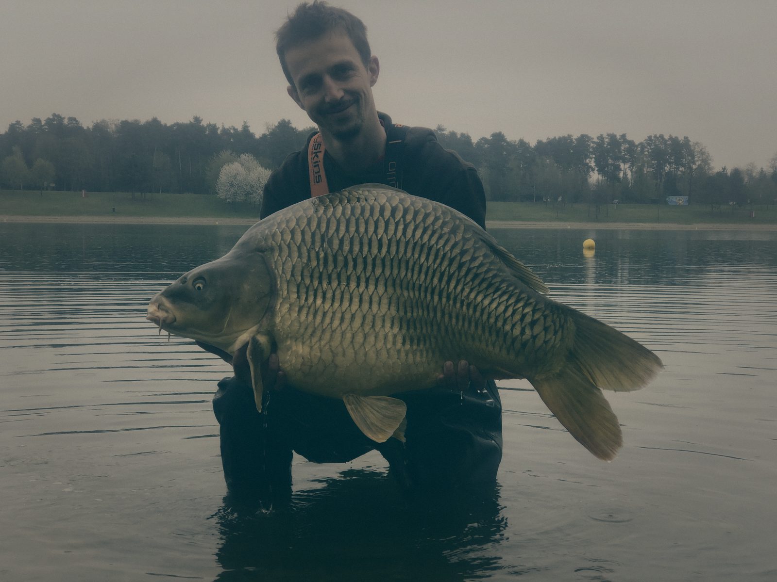 Styria Carp