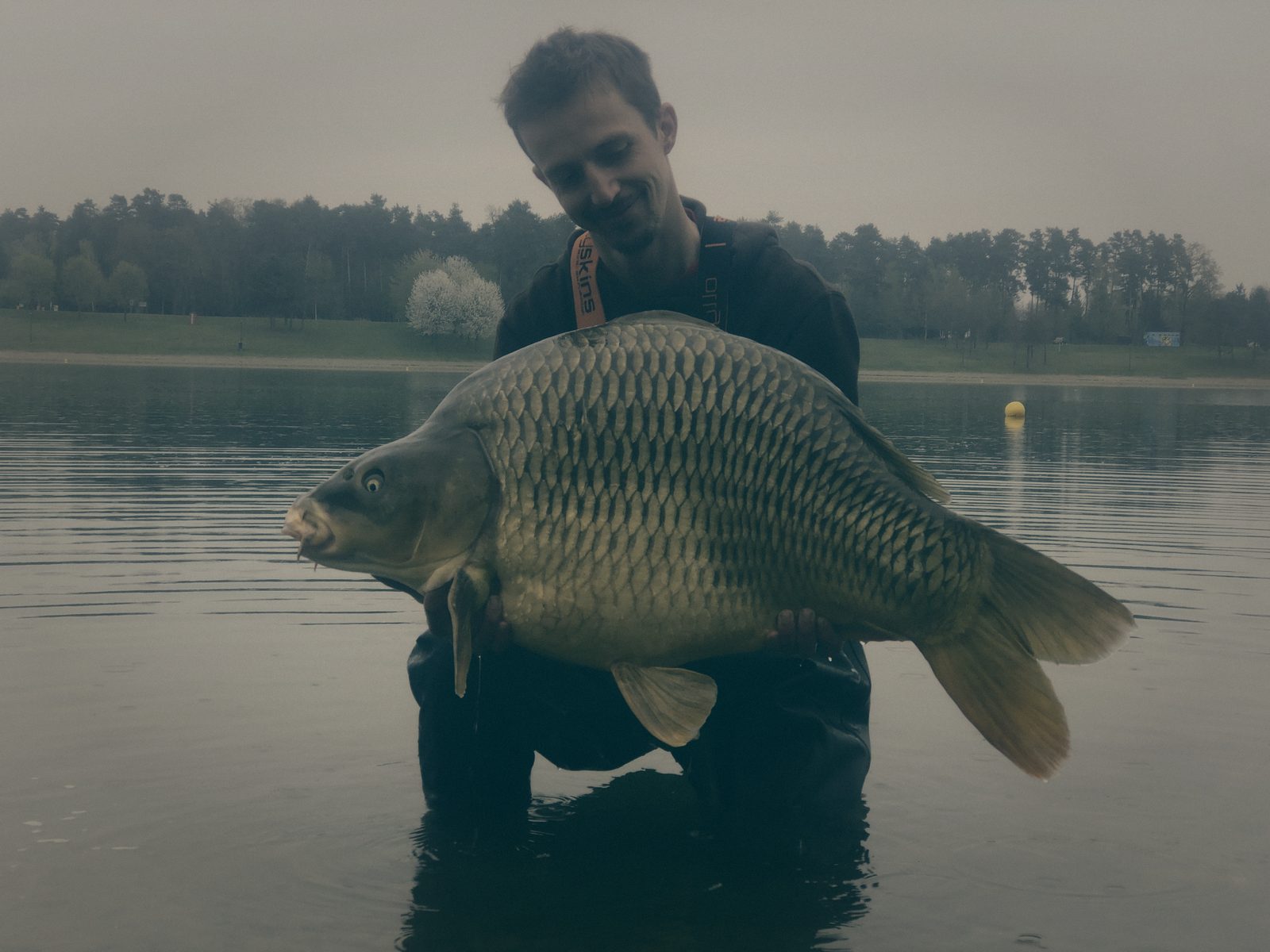 Styria Carp