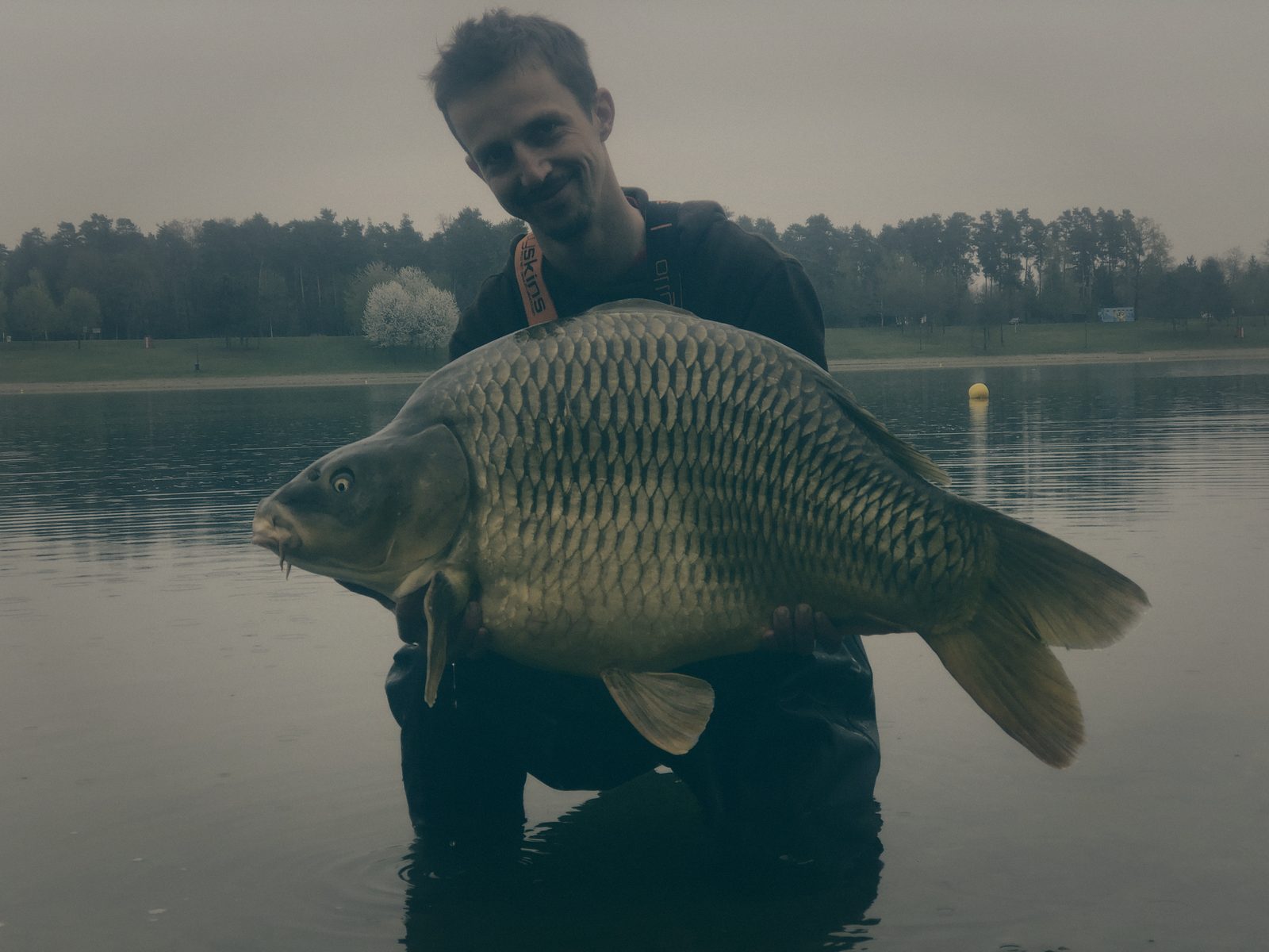 Styria Carp