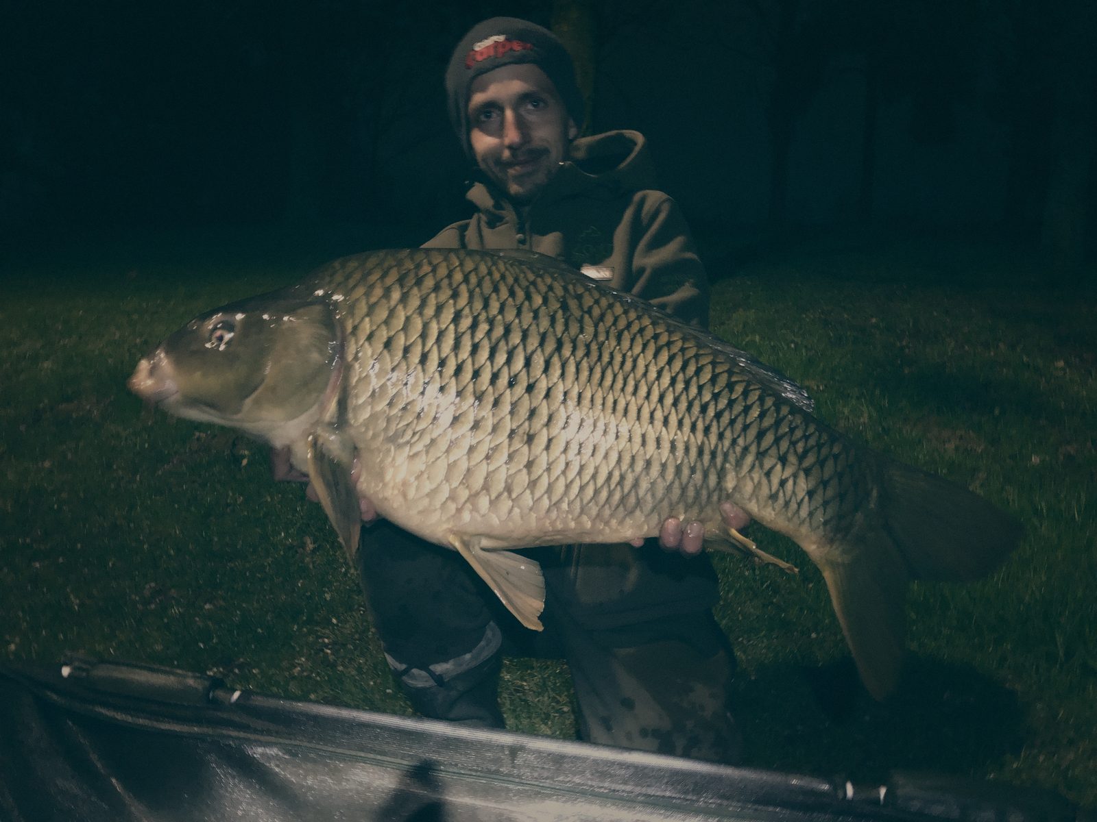Styria Carp