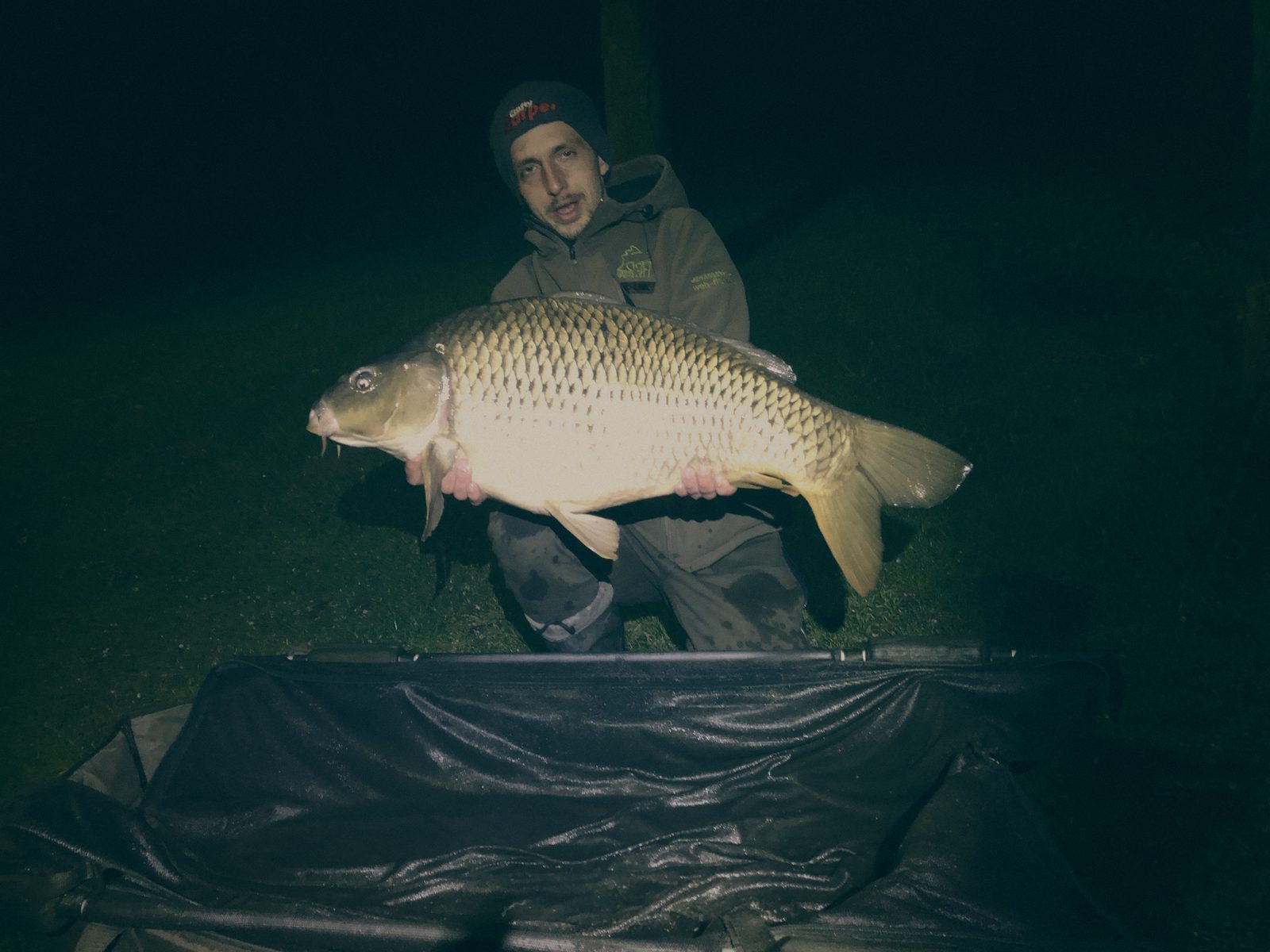 Styria Carp