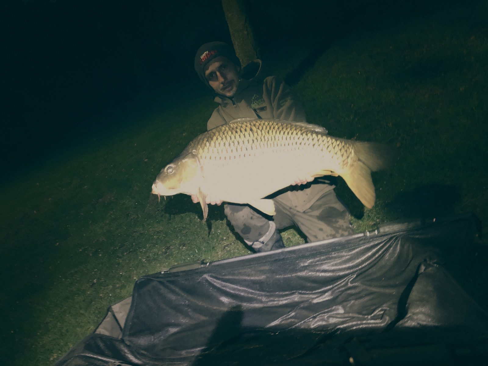 Styria Carp