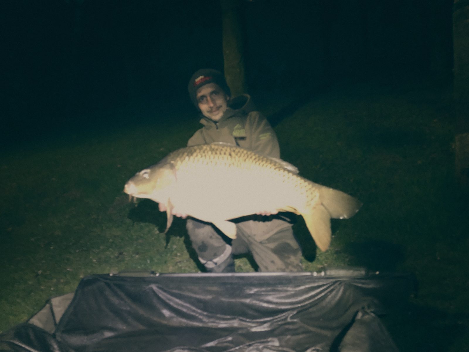 Styria Carp