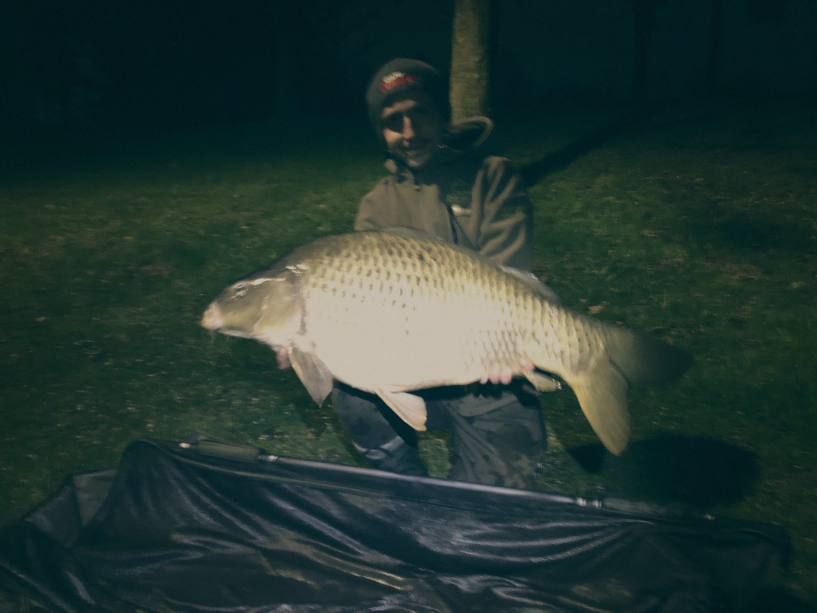 Styria Carp